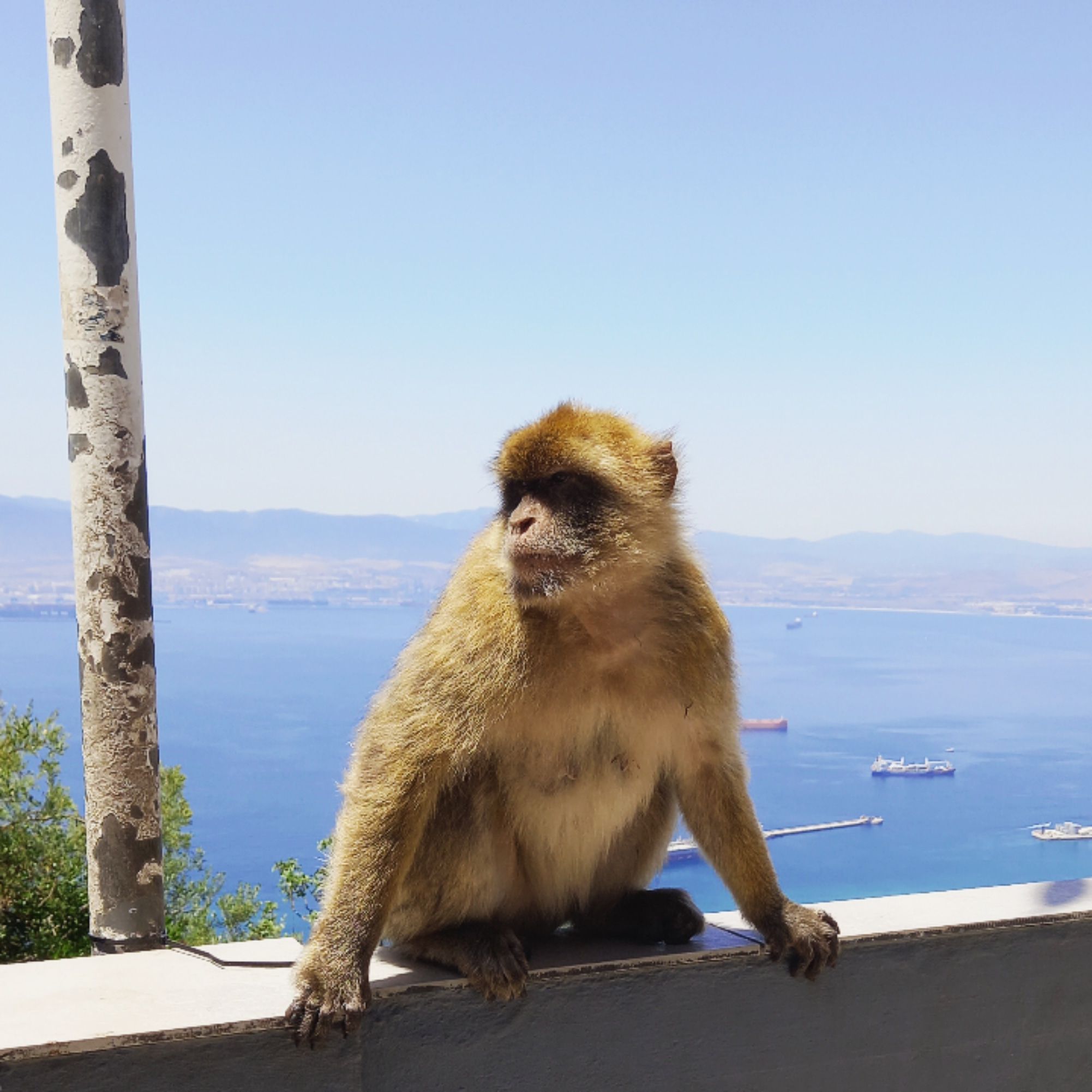 Mi mono Amelia y yo · Gibraltar FOTO: Manuel Marusso
