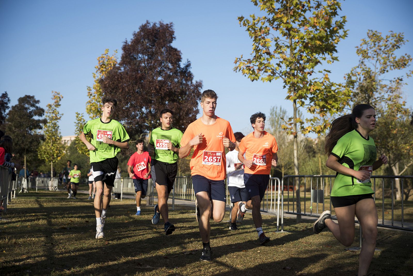 24a edició del Cros Ciutat de Sant Cugat. FOTO: Bernat Millet.