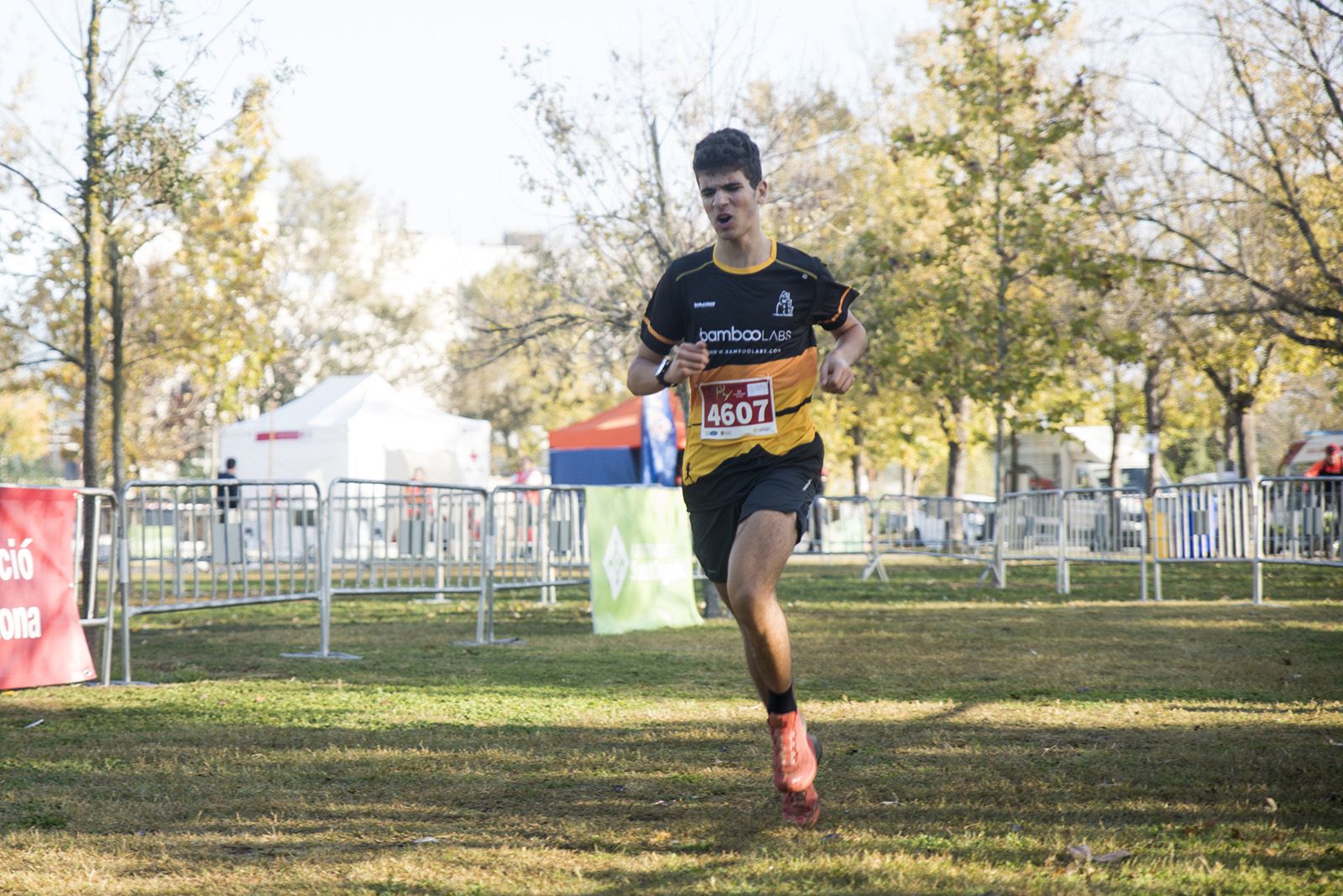 24a edició del Cros Ciutat de Sant Cugat. FOTO: Bernat Millet.