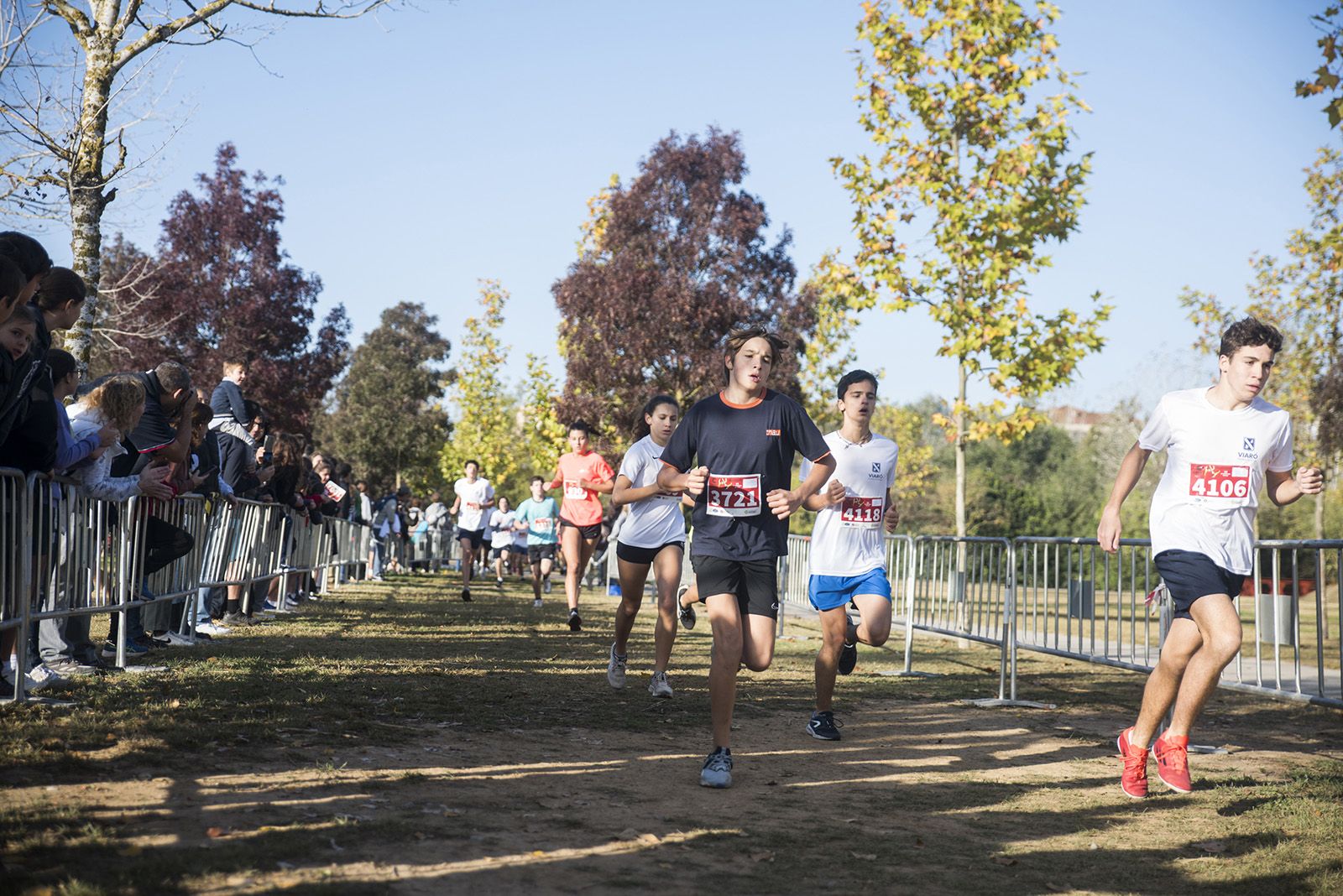 24a edició del Cros Ciutat de Sant Cugat. FOTO: Bernat Millet.