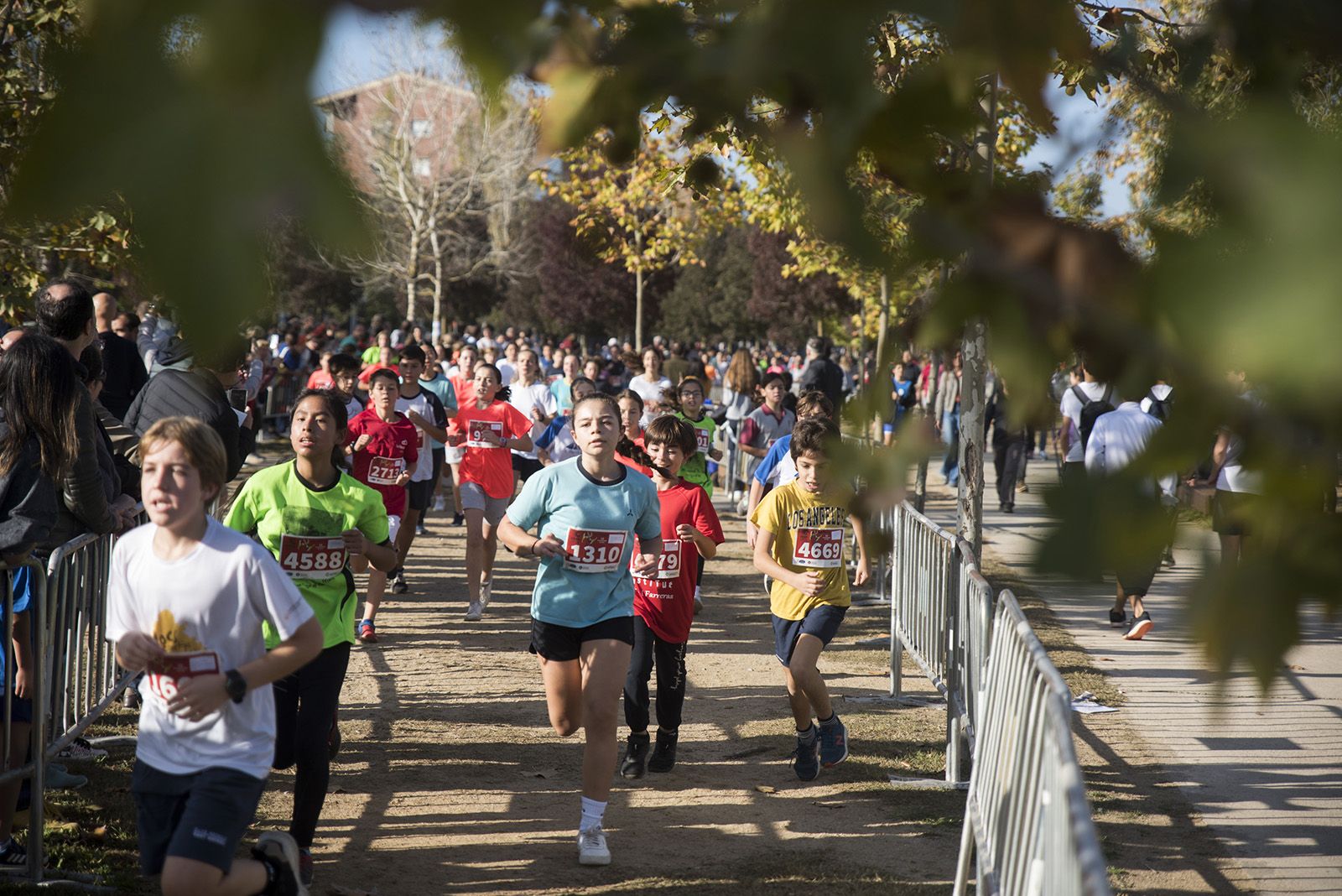 24a edició del Cros Ciutat de Sant Cugat. FOTO: Bernat Millet.