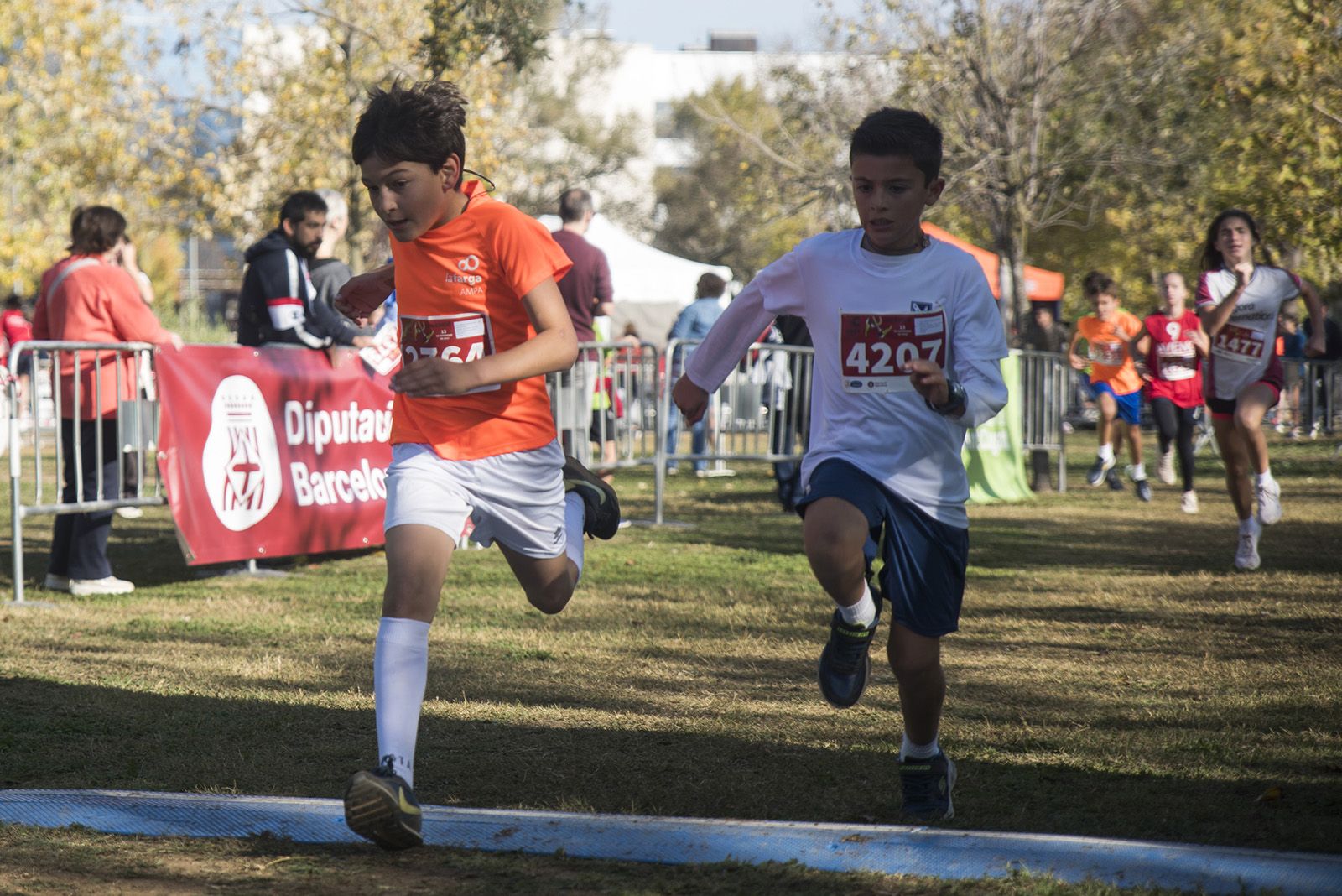 24a edició del Cros Ciutat de Sant Cugat. FOTO: Bernat Millet.