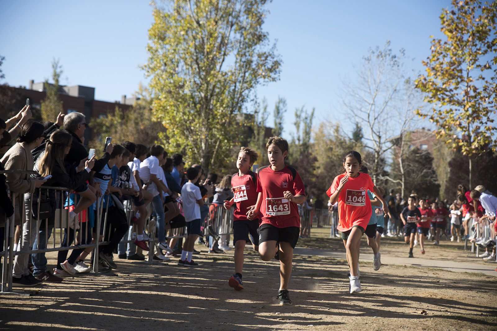 24a edició del Cros Ciutat de Sant Cugat. FOTO: Bernat Millet.