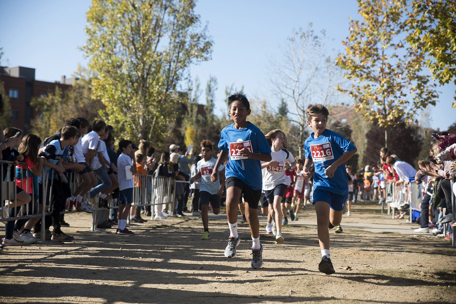 24a edició del Cros Ciutat de Sant Cugat. FOTO: Bernat Millet.