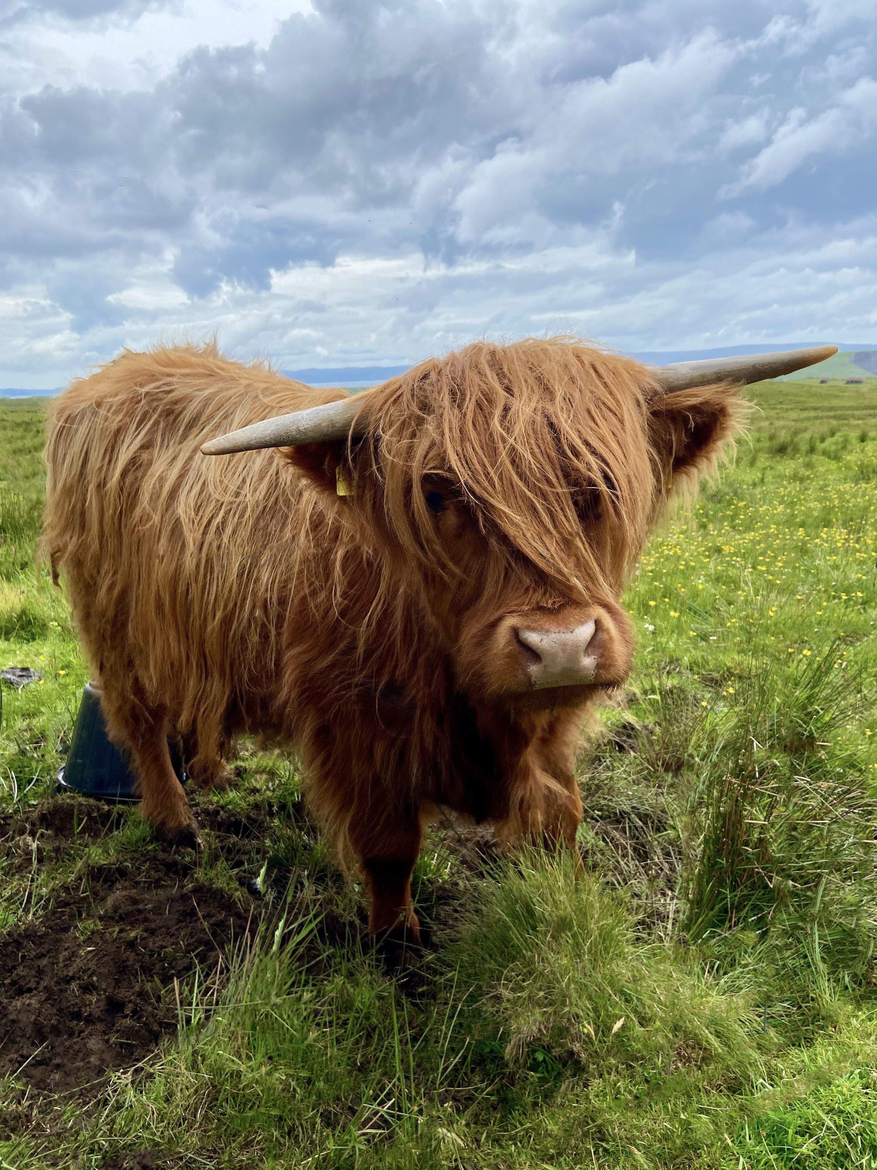 Look my look · Escòcia FOTO: Cristina  Gálvez Montón