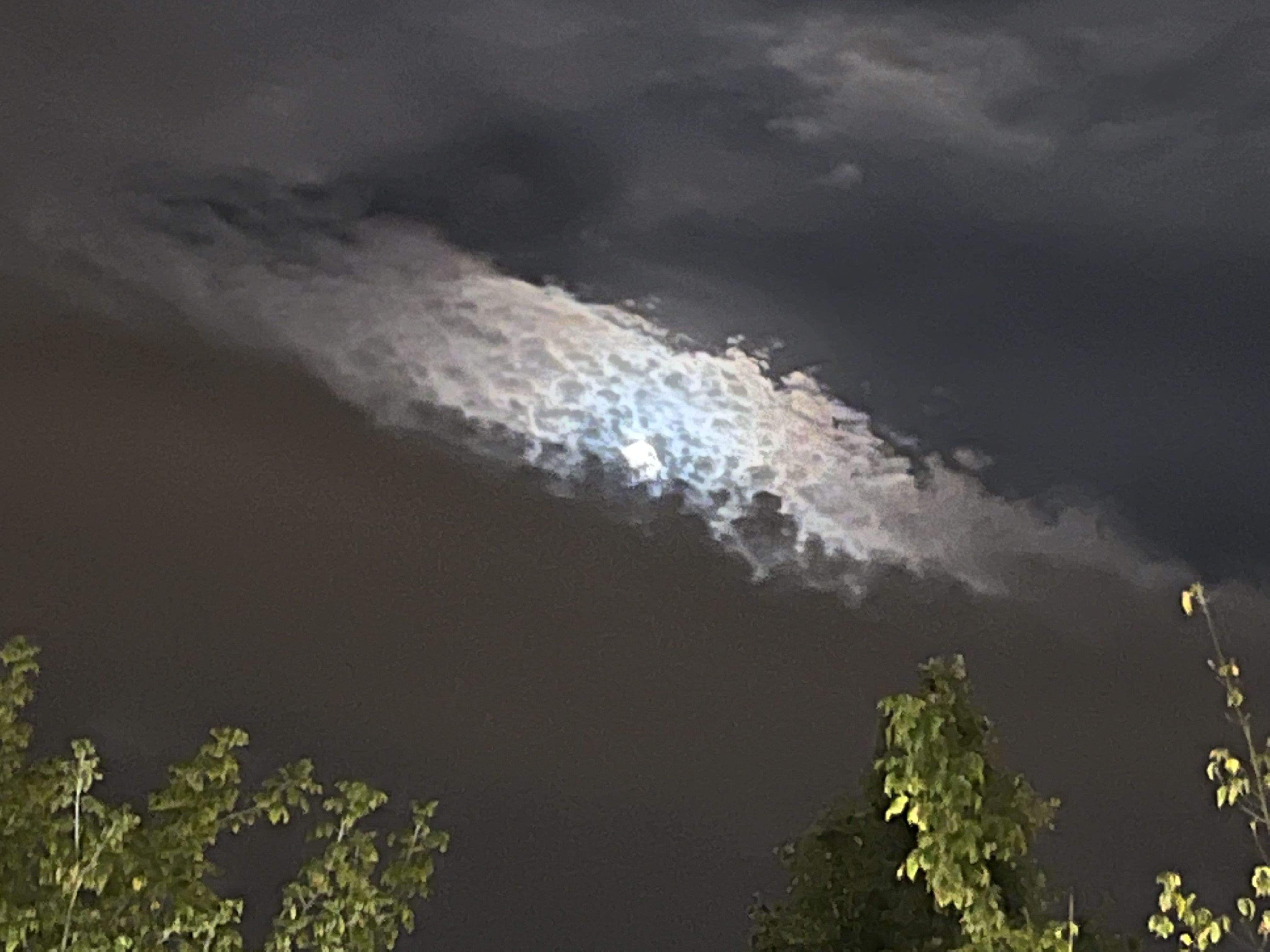 Lluna plena · Mirasol FOTO: Manuel Font Bas