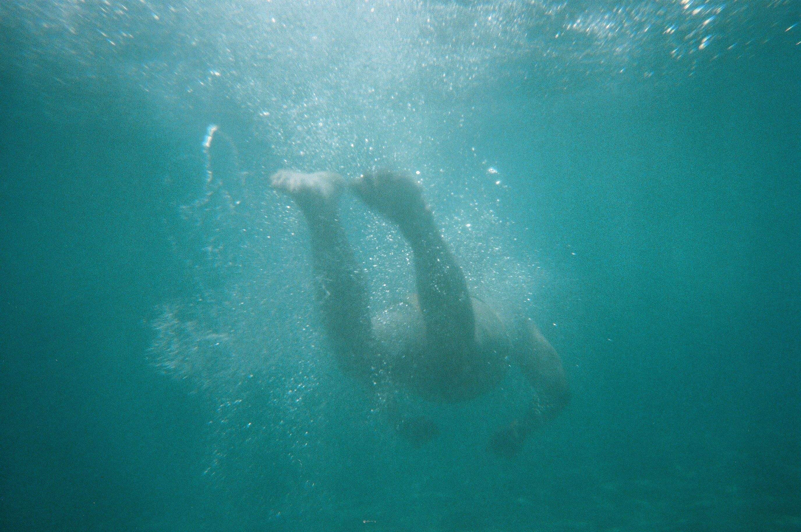 La primera de l’any · Blanes FOTO: Leo Castro Castro