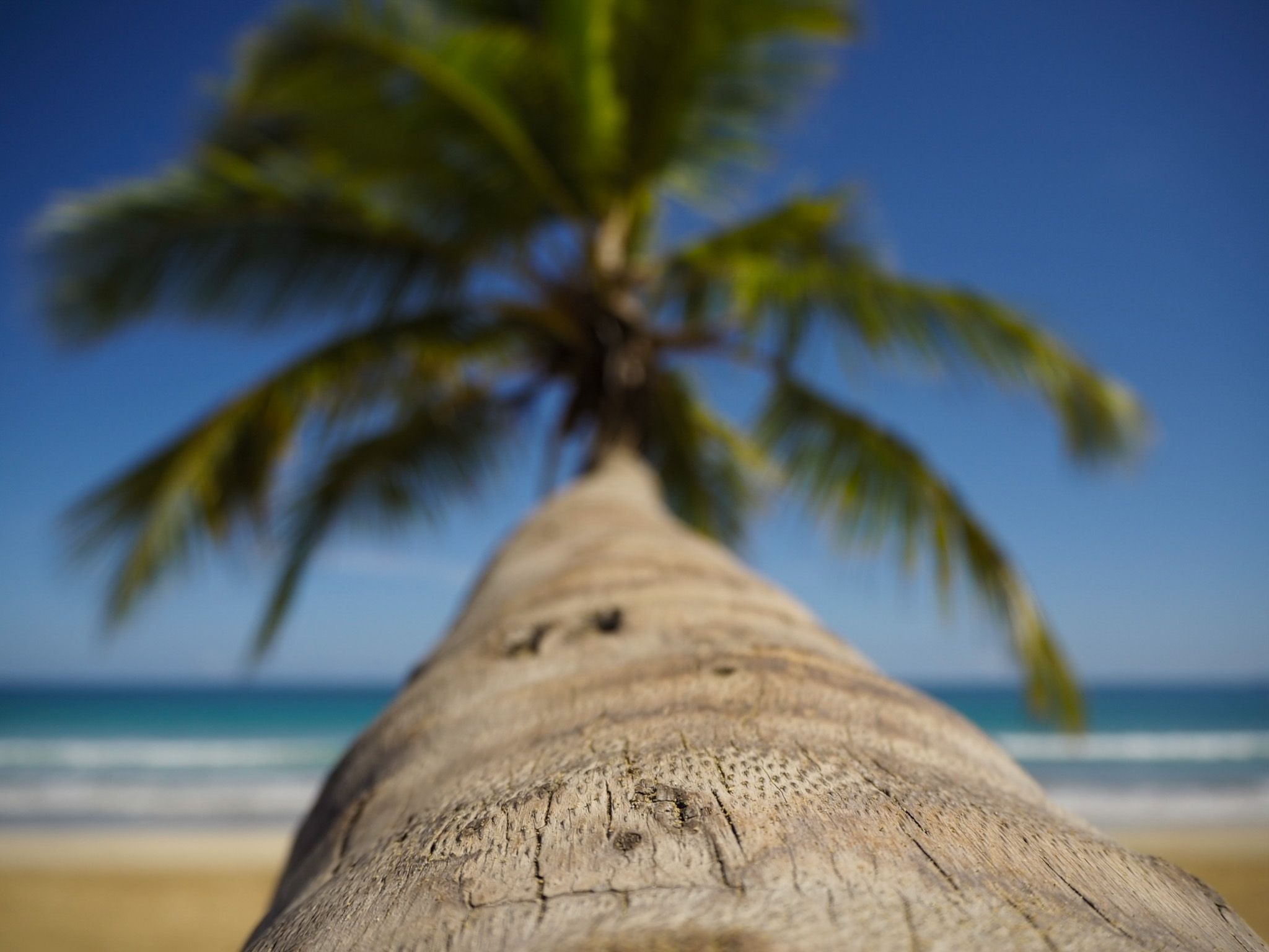 La Palmera  · Republica Dominicana  FOTO: Marc Galceran Mauri