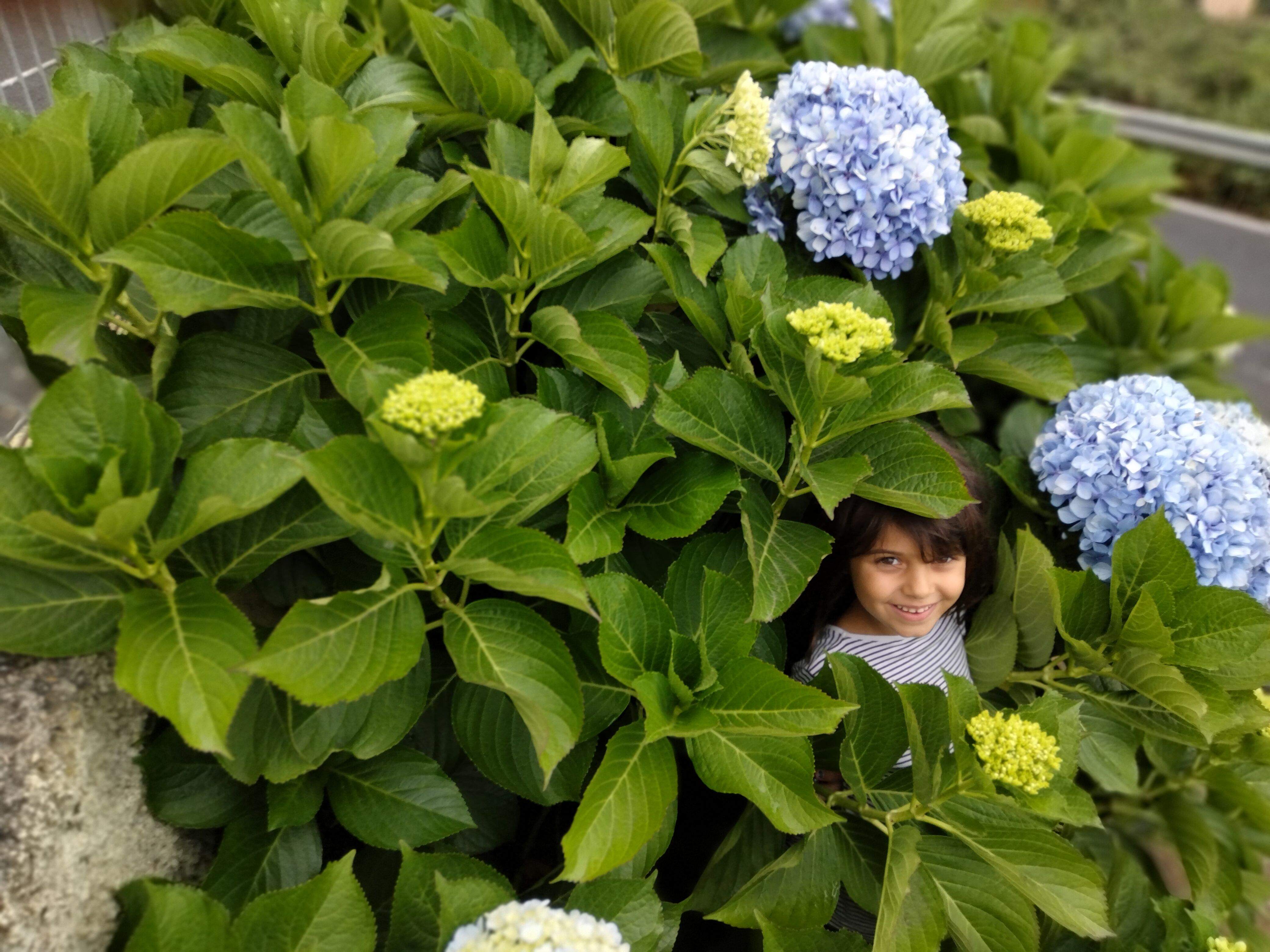 La flor del meu jardí  · Tenerife  FOTO: Carles  Corbera castellvi 