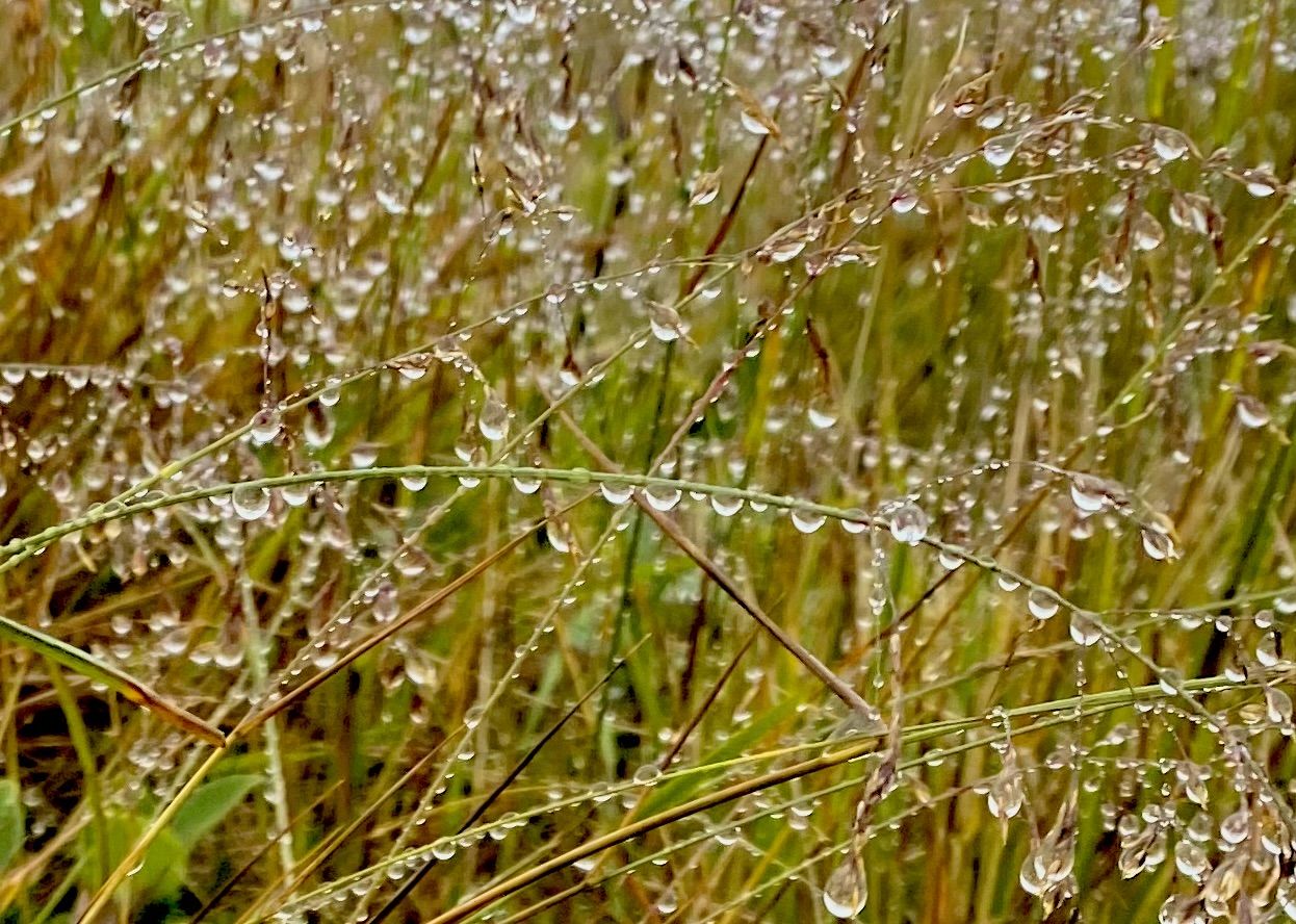 Joies naturals · Islàndia FOTO: Martí Romaní Capdevila