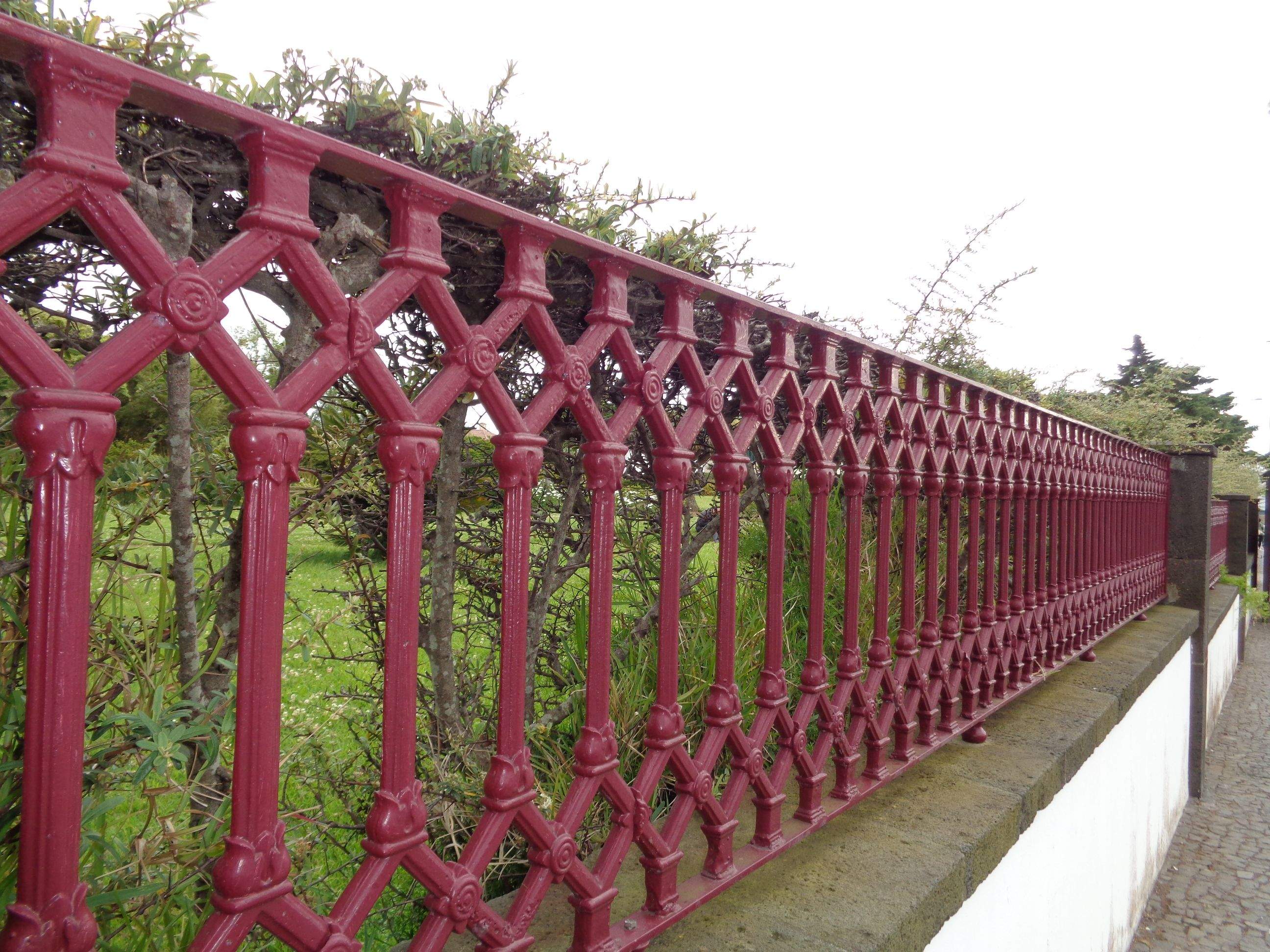 Jardí botànic a les Açores · Ponta Delgada, Sao Miguel, les Açores FOTO: Olga Sentís Barja