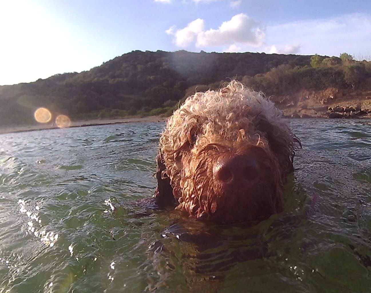 JACK · Es Grau. Menorca FOTO: Cristina  Moga Ferrés 