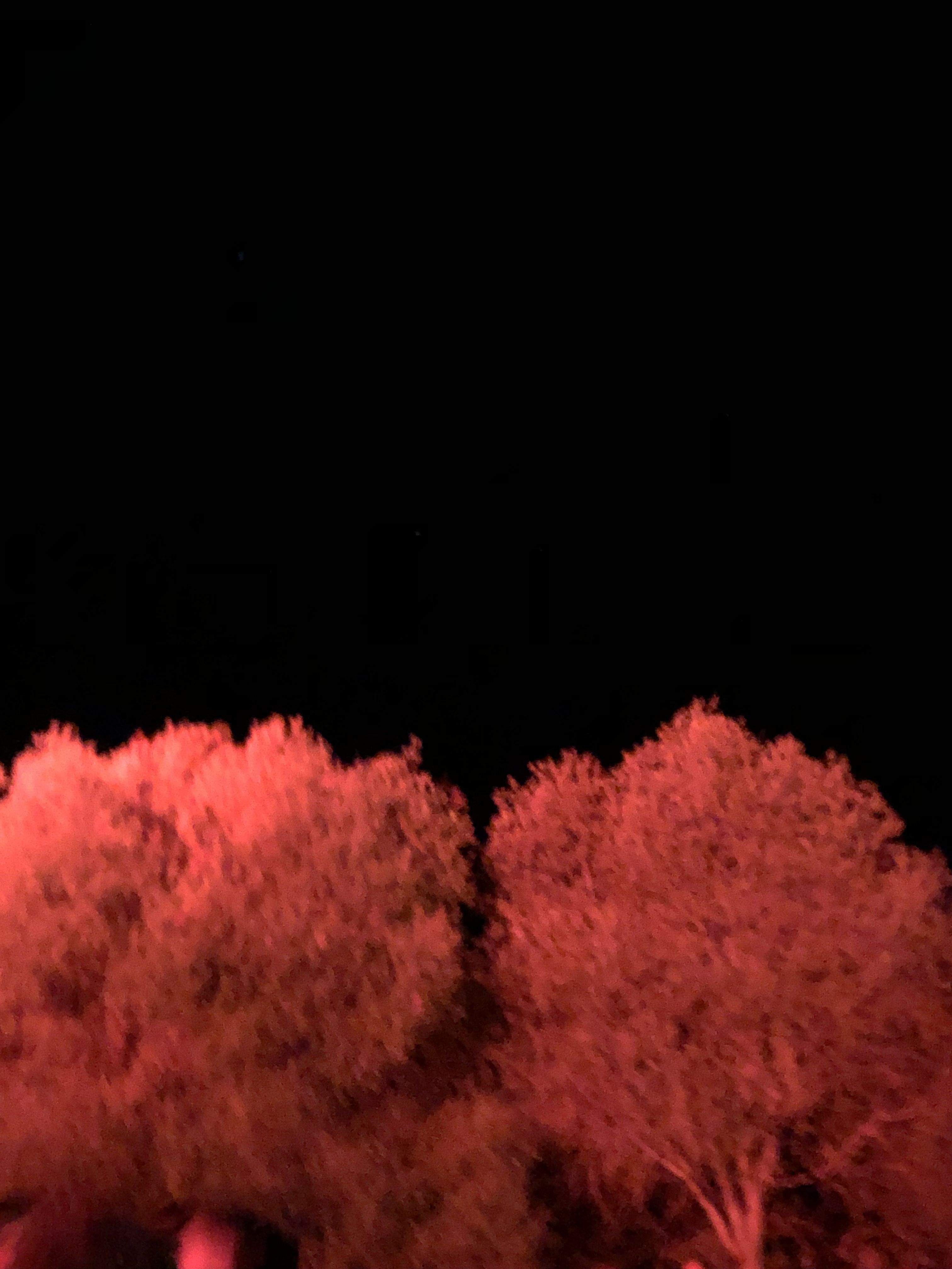 I ❤️ ESTIU (I LOVE ESTIU) · MALLORCA FOTO: Quim Juncosa Bartoli