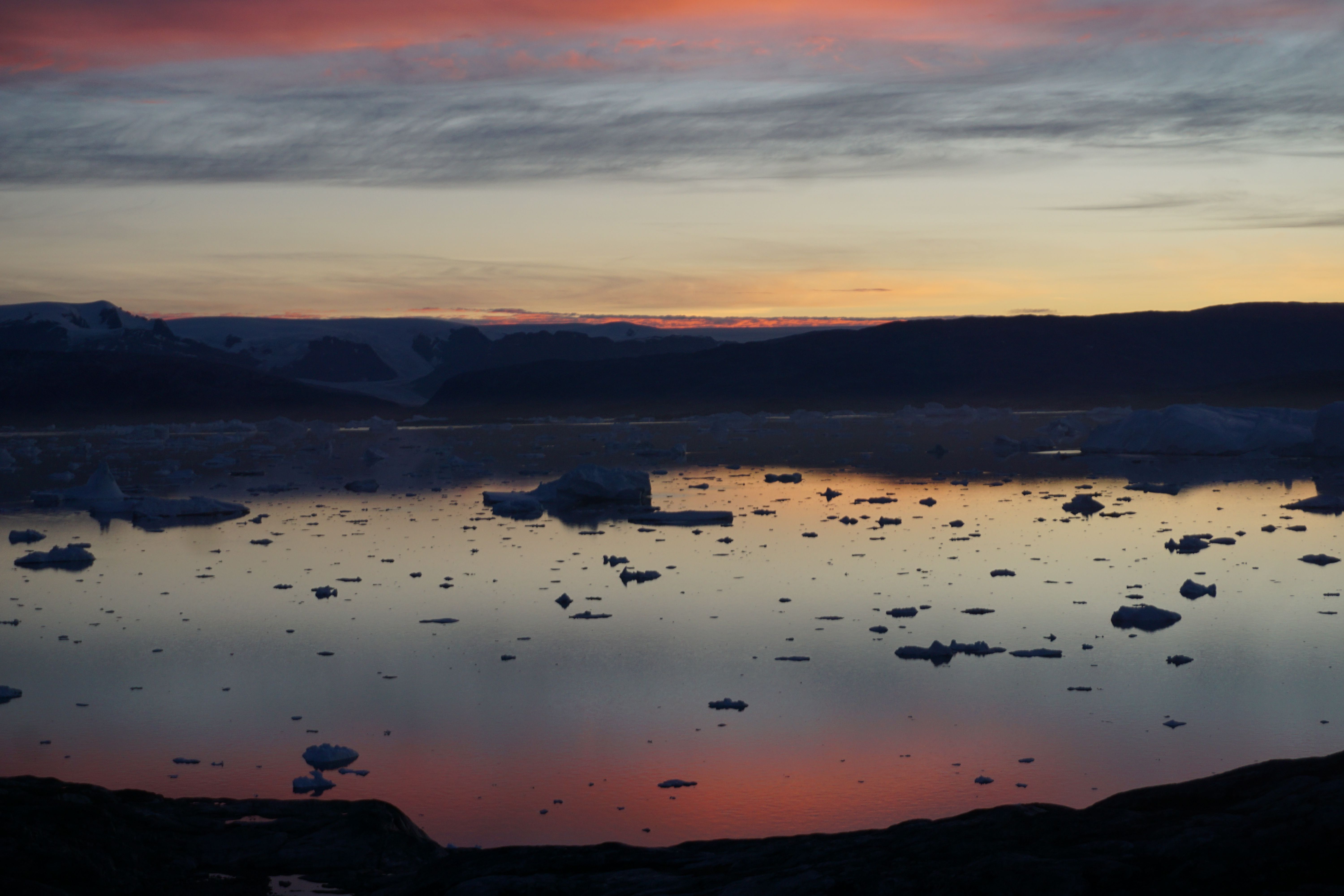 Foc en el gel · Tiniteqilaaq (costa est de Groenlandia) FOTO:  Ton Marimon