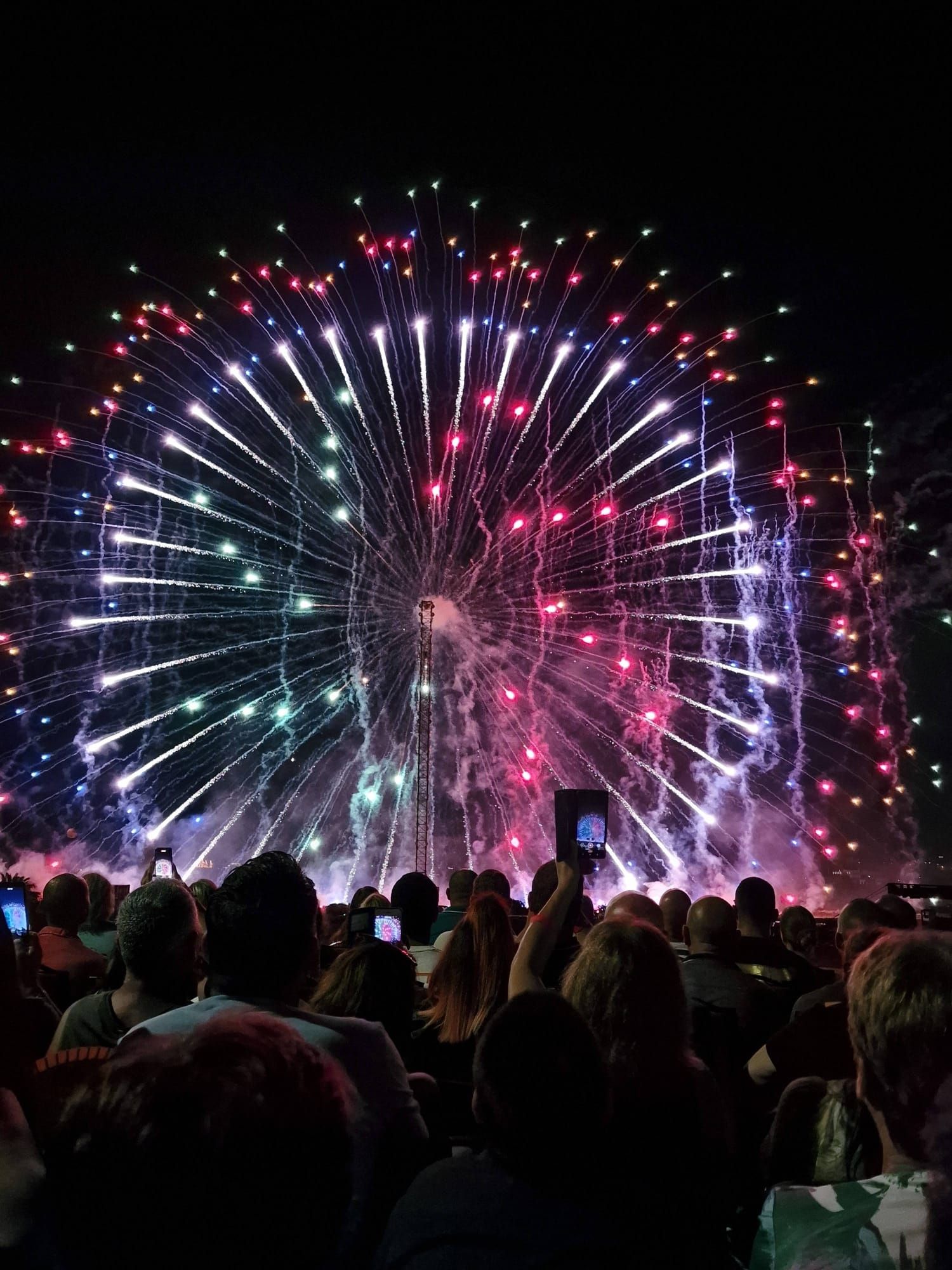 Flor de foc · Malta FOTO:  Arabia Cáceres Barragán 