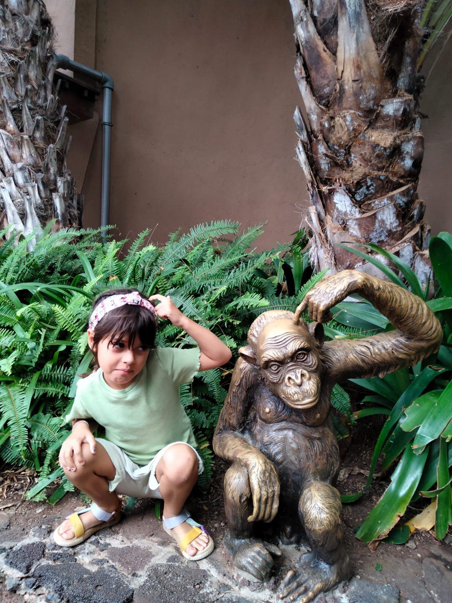 Fent la mona · Tenerife FOTO:  Roser Santonja Guillén 