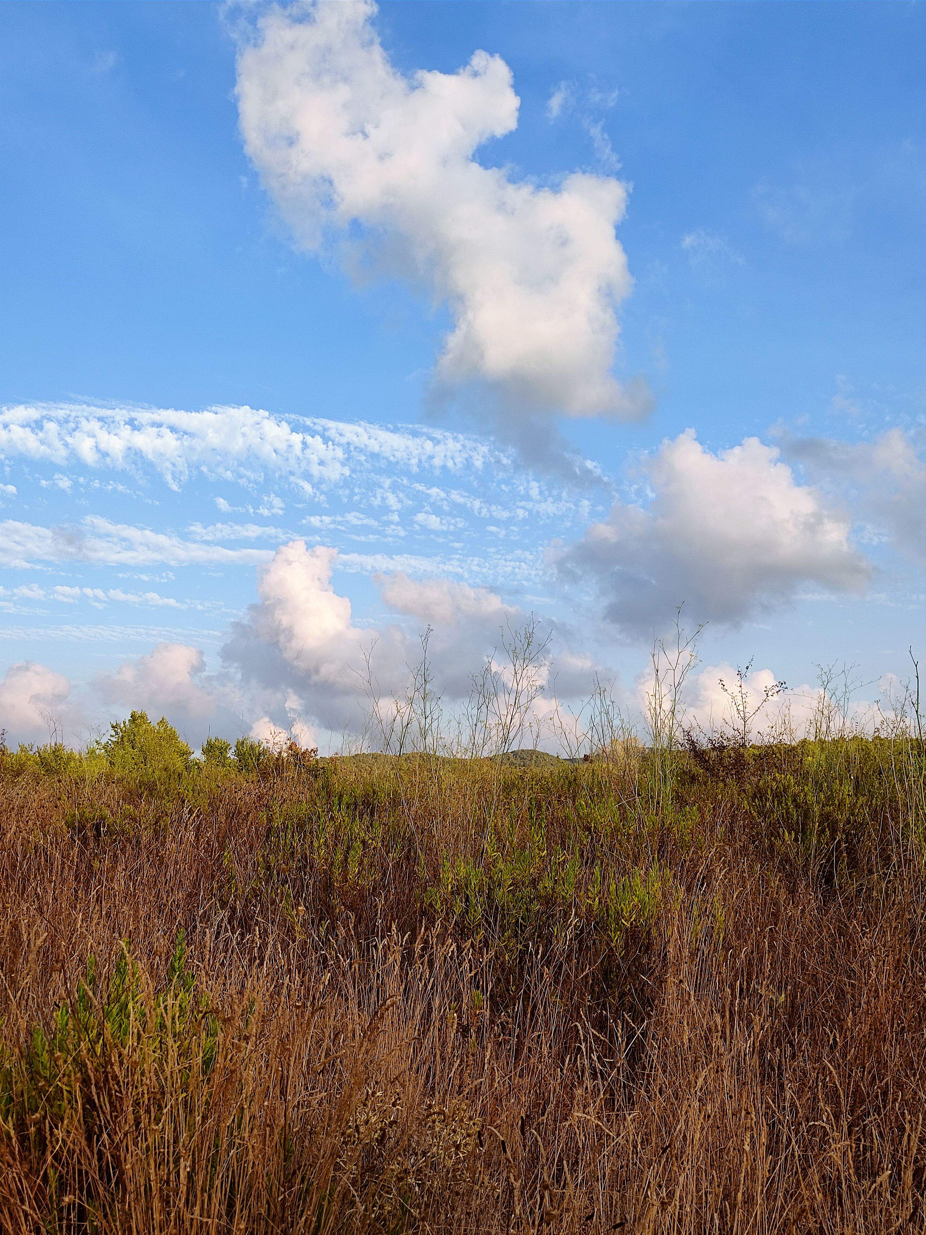 Temps solejat FOTO: Cedida