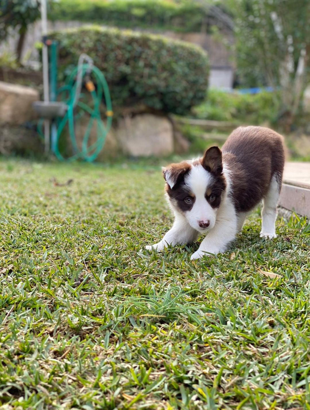 Estiraments matinals · Sant Cugat del Vallés FOTO:  Pau Villa Gorriz