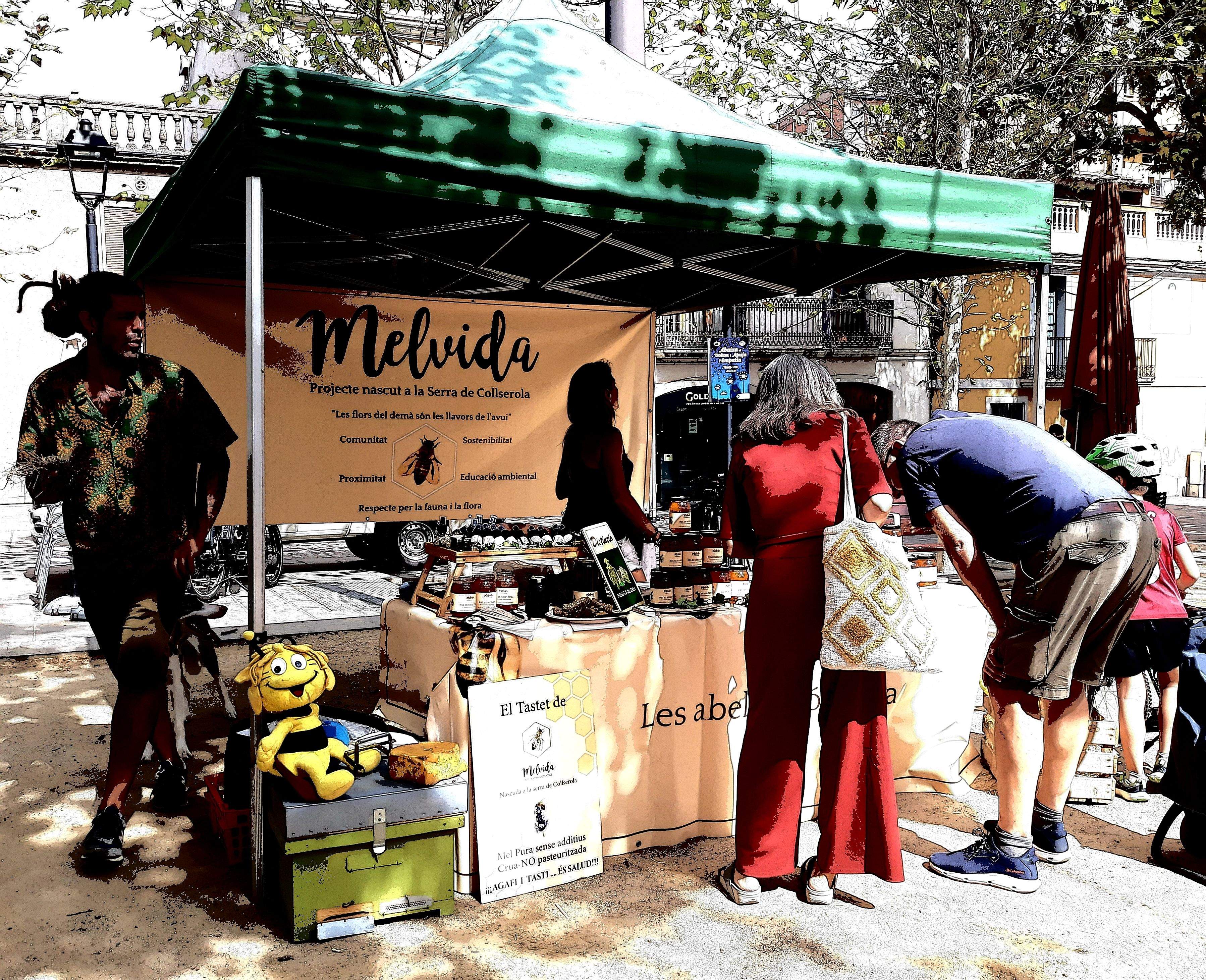 Estimades abelles · Sant Cugat del Vallès  FOTO:  Elena Górriz Borrego 