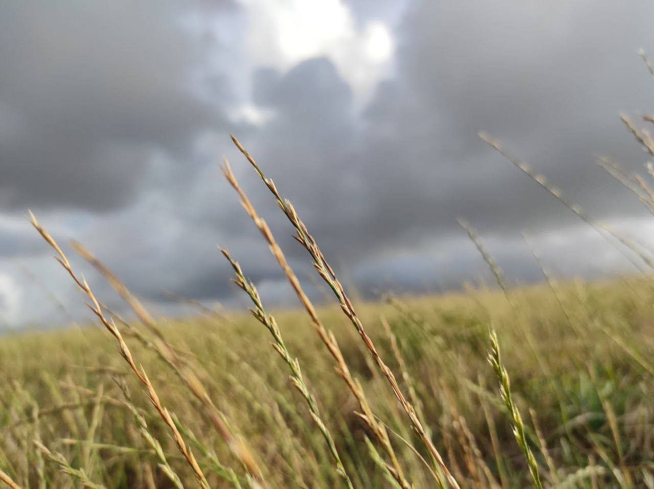 Esperant la tormenta  · Ajo, Cantabria  FOTO:  Laia Deltell Baena