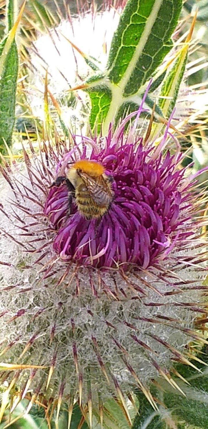Esmorzant · Sant Cugat FOTO:  Jordi Clavé