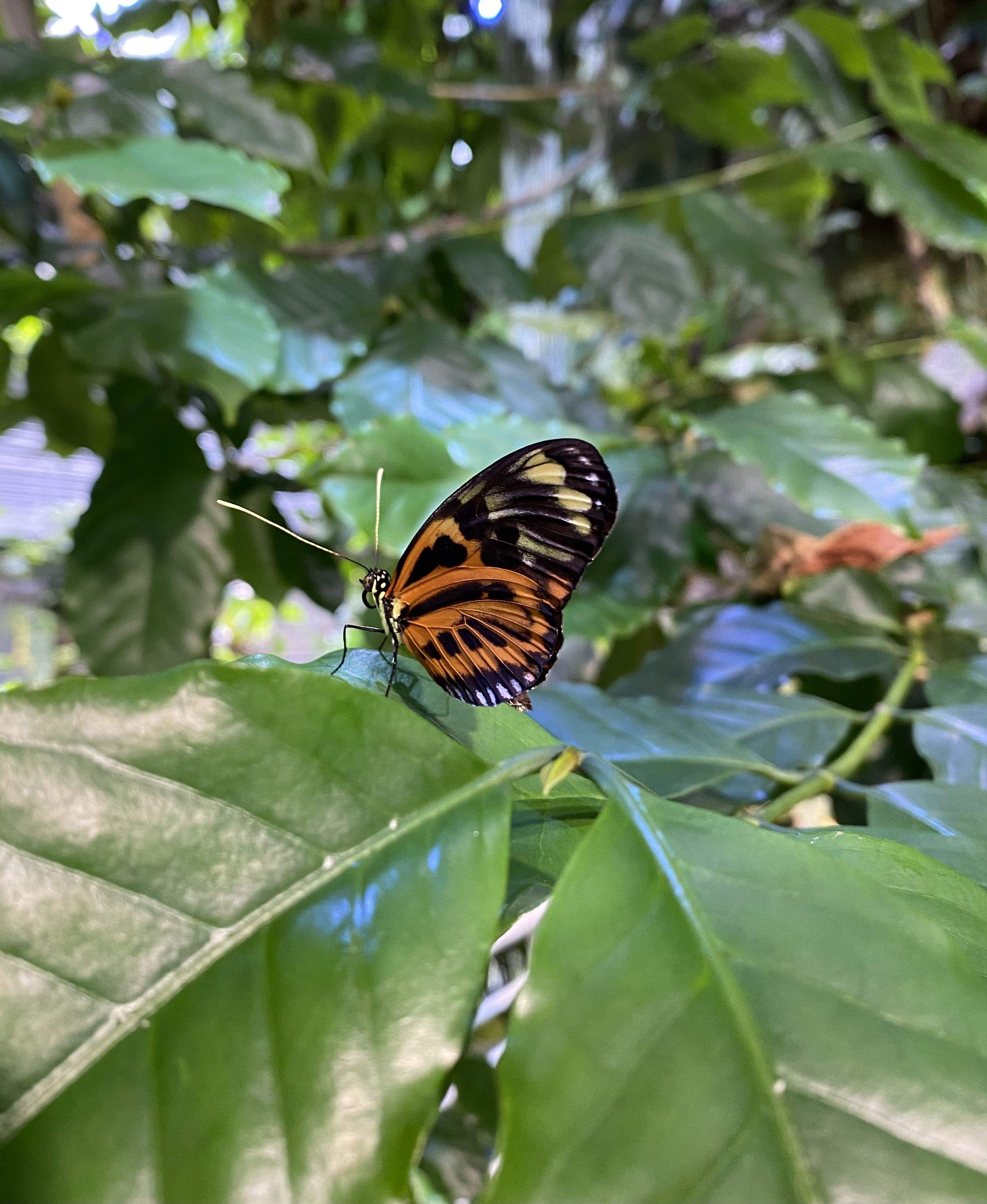 Equilibri · San Francisco, Califòrnia FOTO:  Magí Foraste Giravent 