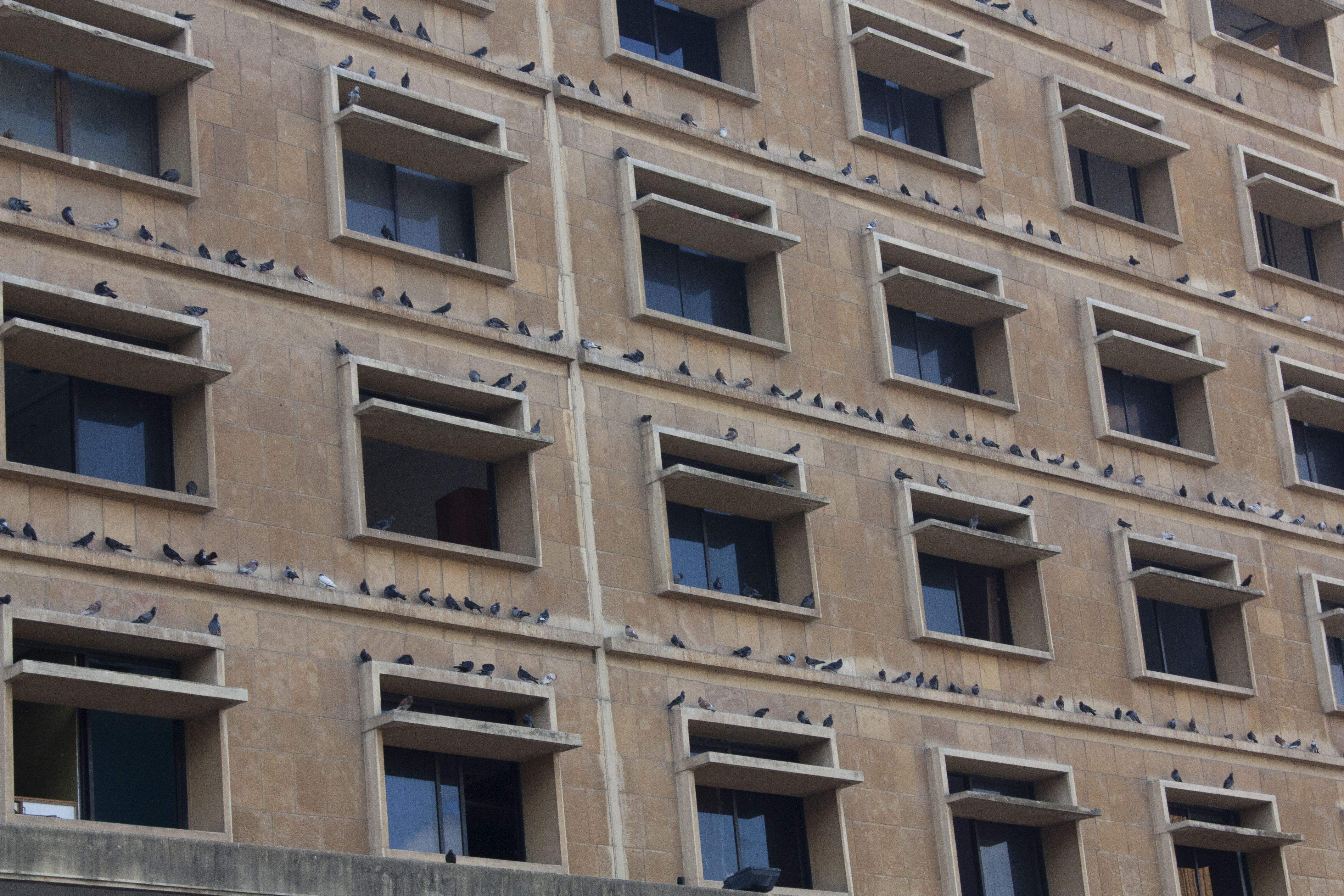 El palomar · Beirut FOTO:  Ramón Arnal Ballarin