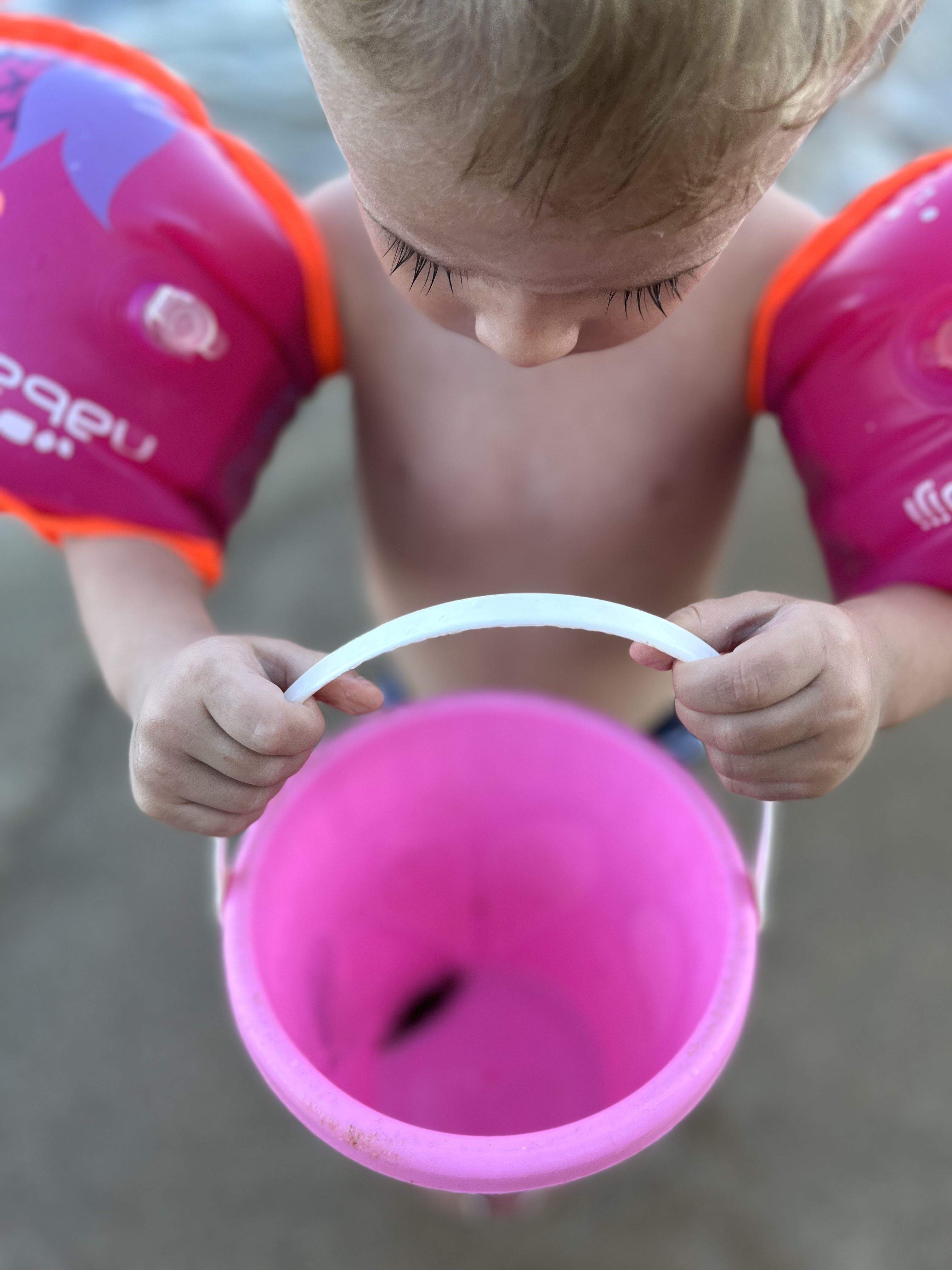 El cranc · Platja de la Llosa, Cambrils FOTO:  Amanda  Frías Clavé 