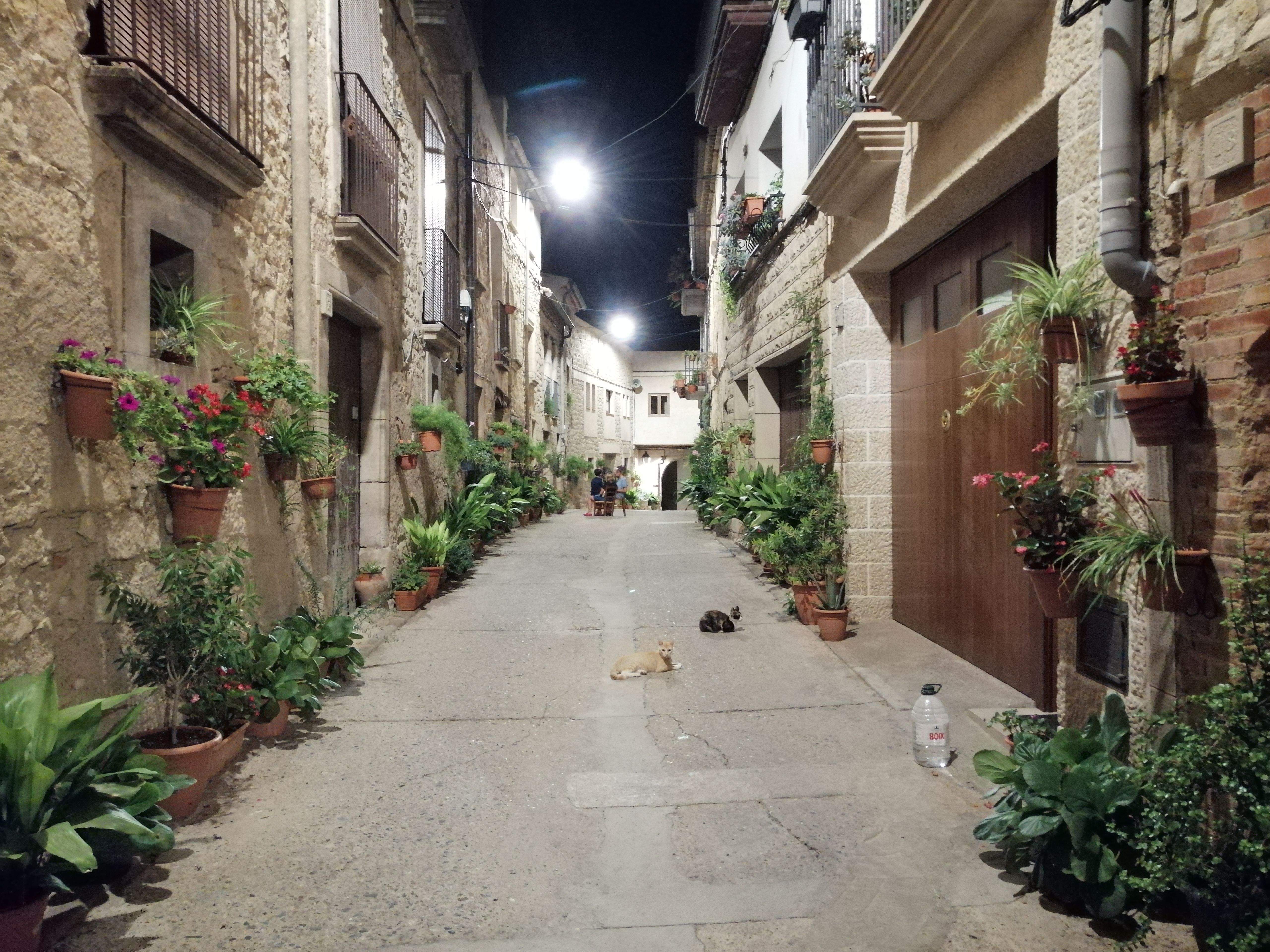 El carrer dels mixets · Vinaixa FOTO:  Neus Calderon