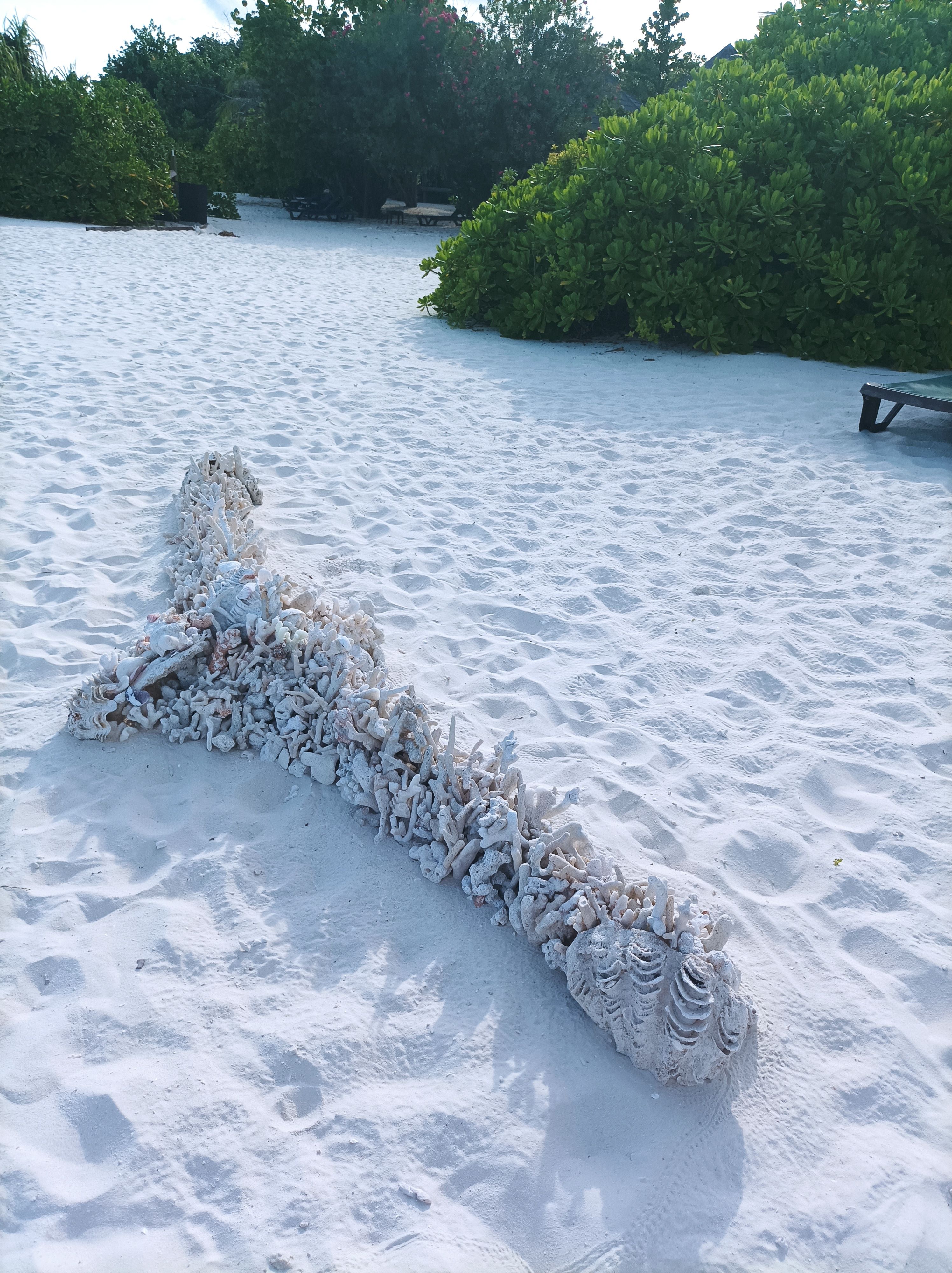 El arte con coral · Maldivas FOTO:  Gema Fernández Moreno