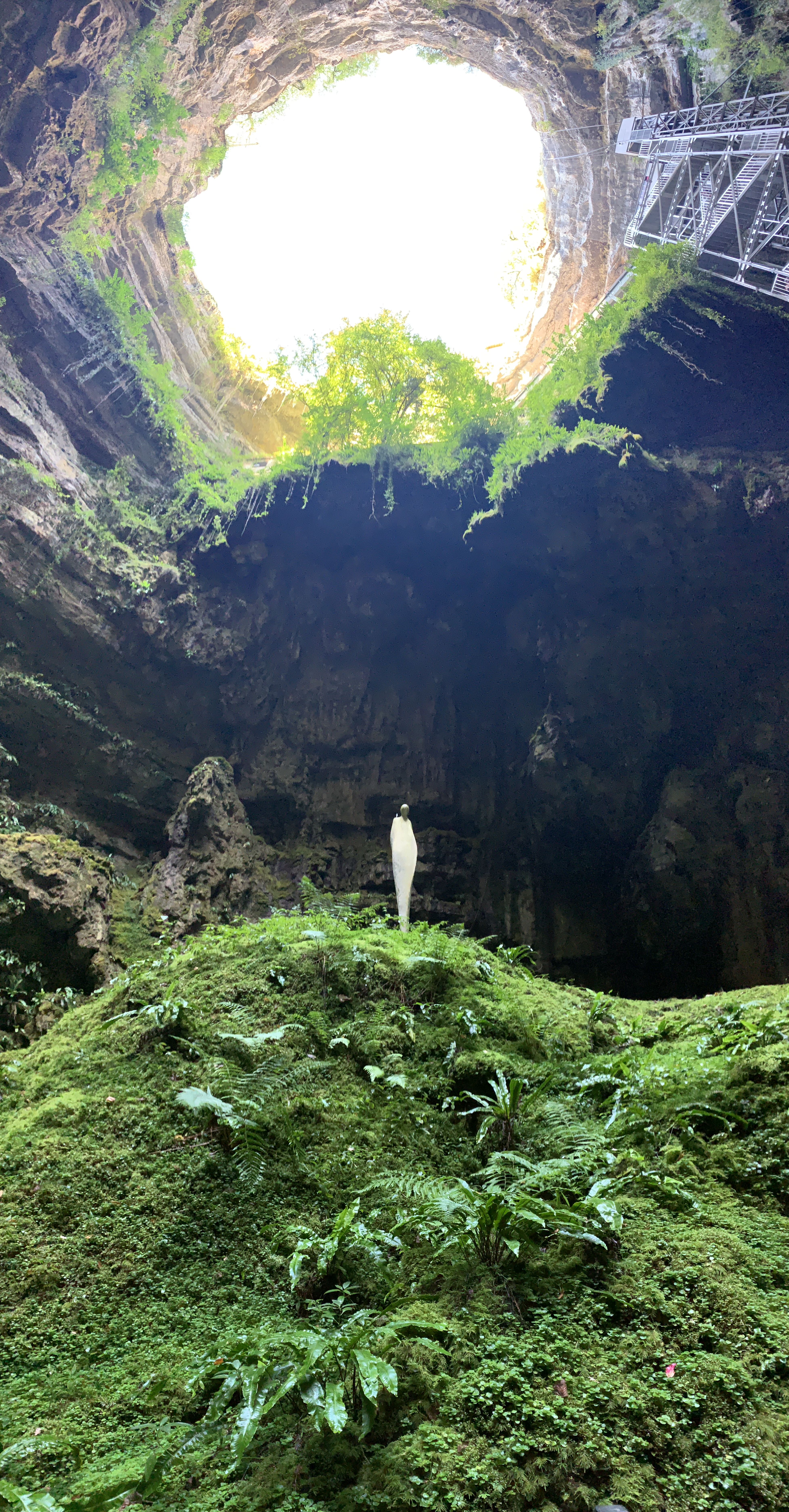 Dins la terra hi ha vida · Grottes de Padirac FOTO:  Vania Vidal Diaz