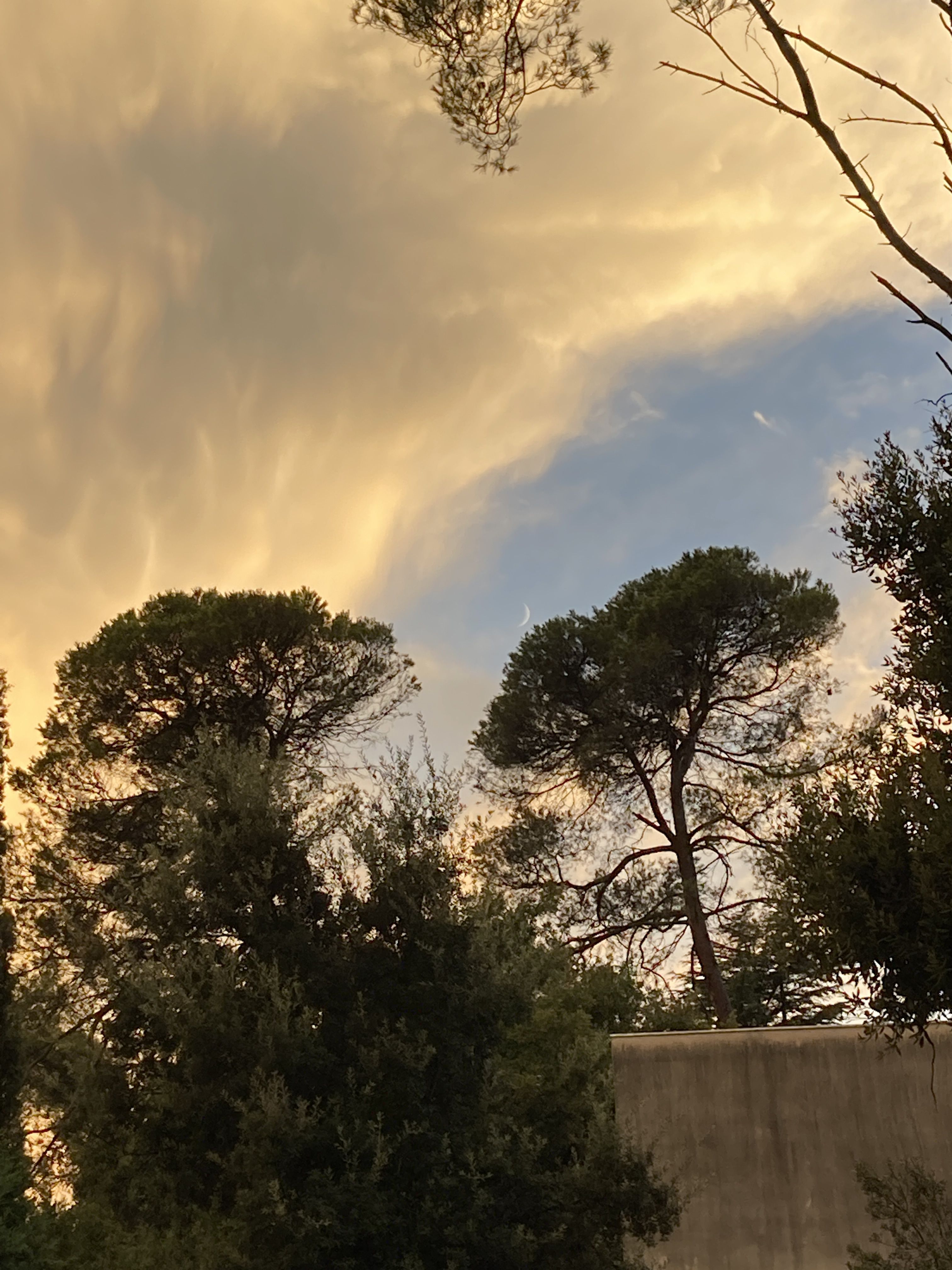 Després de la tempesta · Sant Cugat del Vallès  FOTO:  Marta Gonzalez Rosel