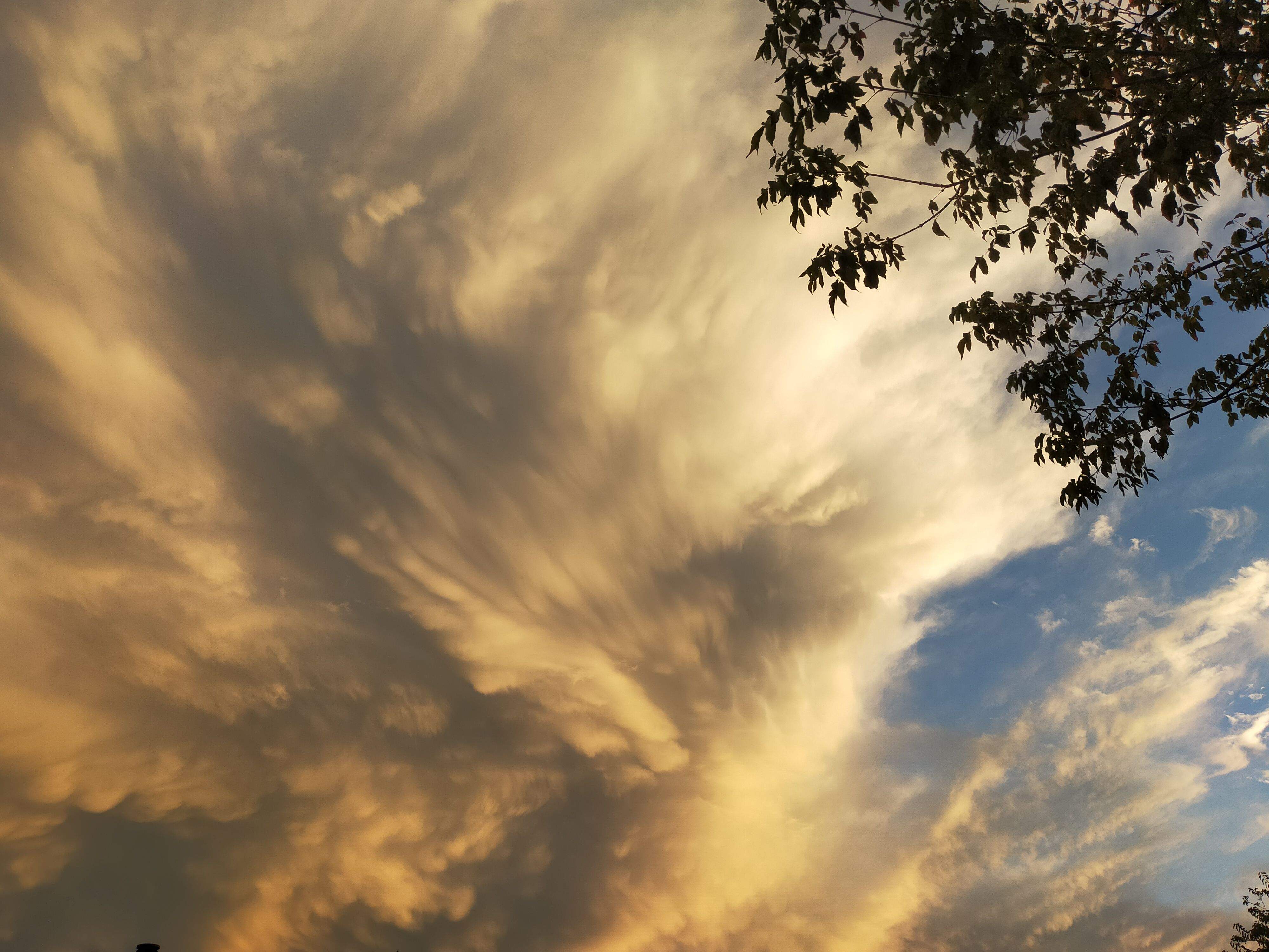 Després de la tempesta · Mira sol, Sant Cugat del Vallès FOTO:  Elisenda Bea Ribera