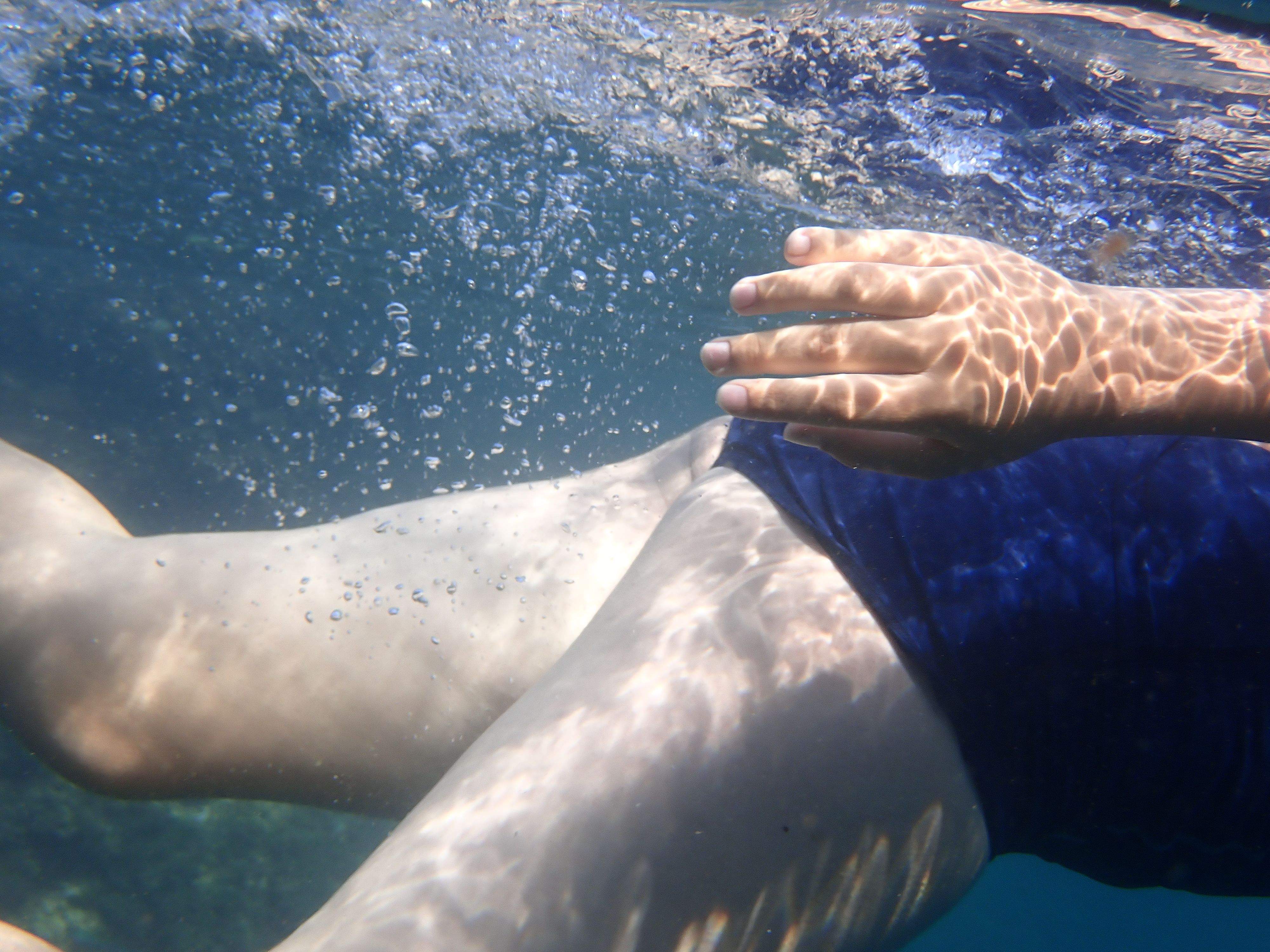 Crol i Crol · Platja Gavina Morta (Sant Feliu de Guixols) FOTO:  Baltasar Alba