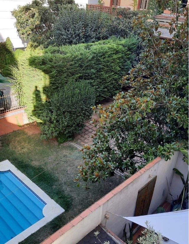 contemplant la natura  · Sant Cugat del Vallés FOTO:  Conchita Roman Mármol