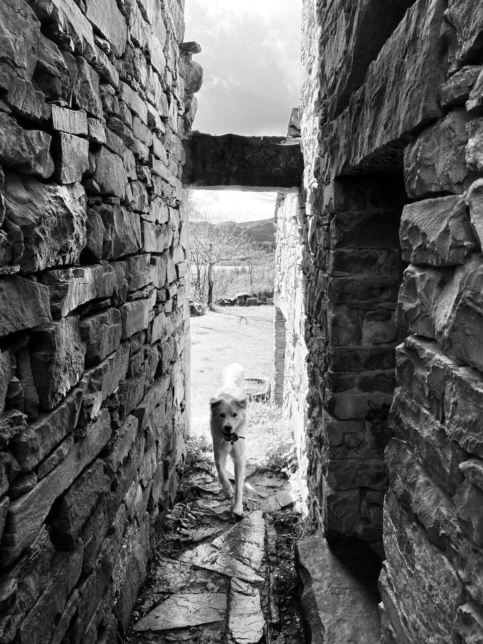 Chino chano · AÍNSA  FOTO:  JARA LAZARO ALBAS