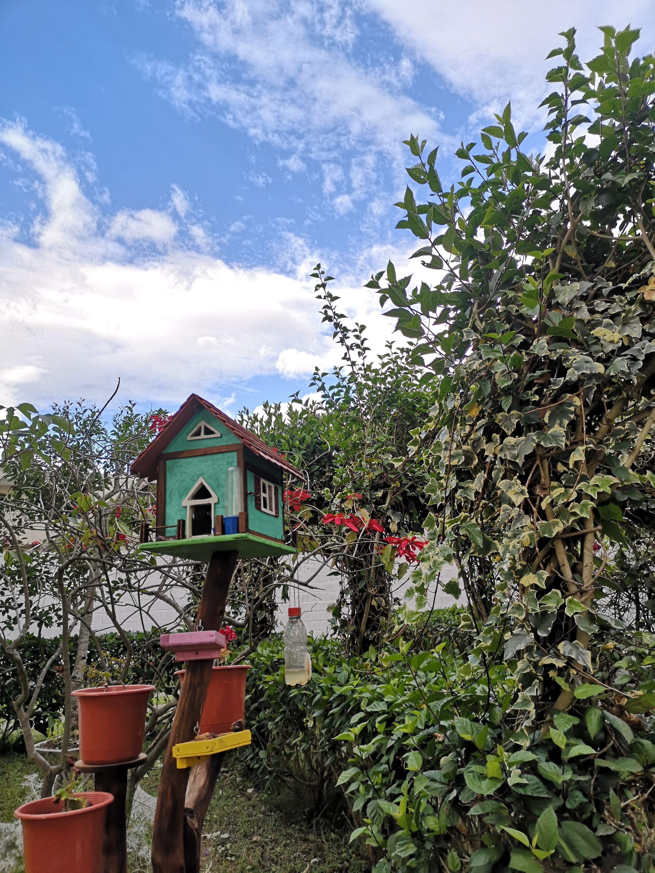 Casa colibrí  · Ecuador FOTO:  Rosa Barreiros