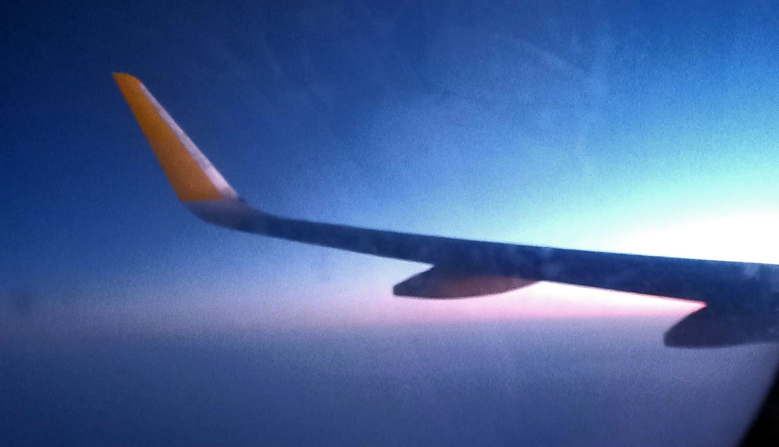 Cap al cel · Avió FOTO:  Sara Guijarro Edo 