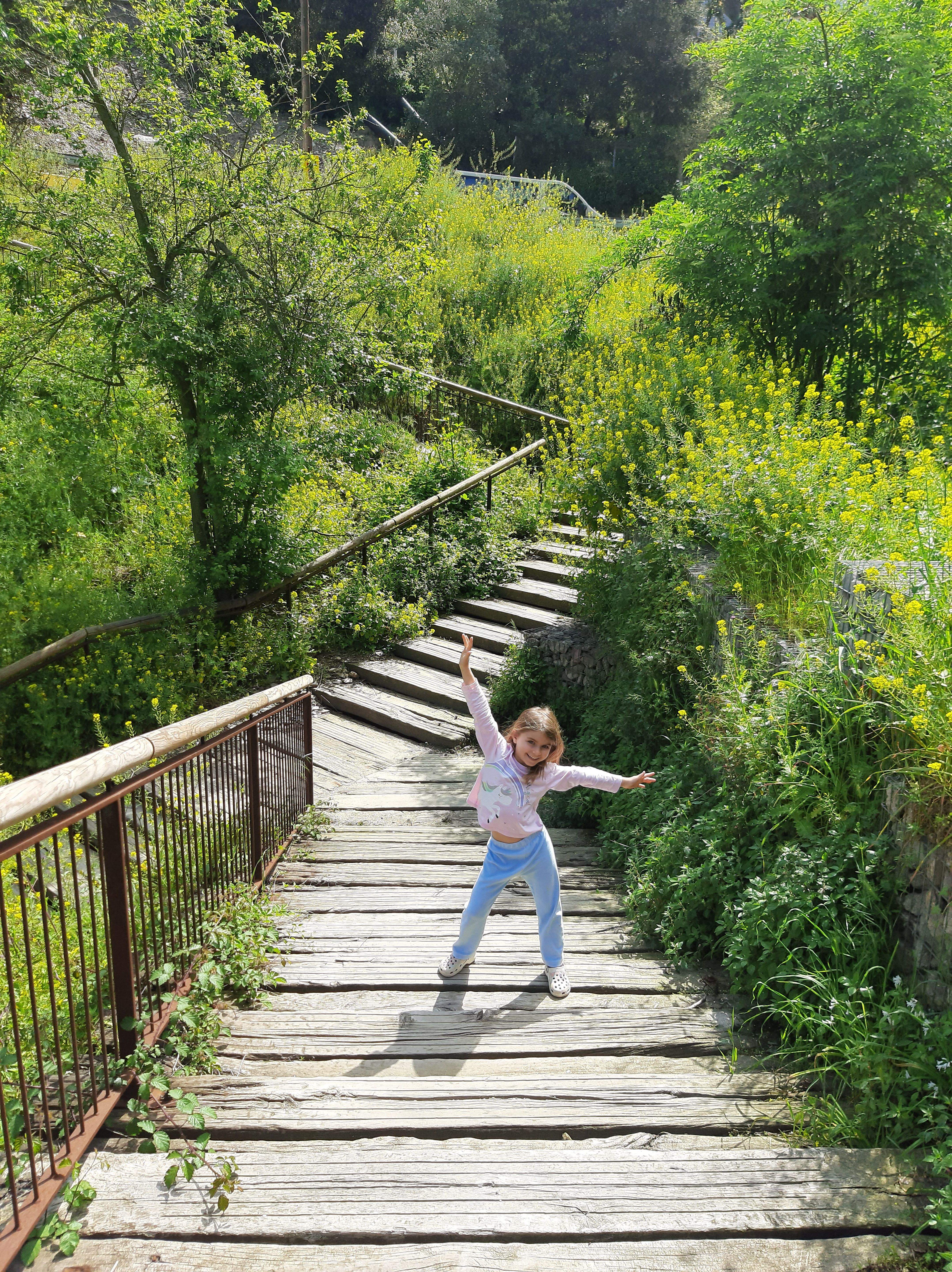 Cami Florejat · Collserola FOTO:  Juan Manuel Torres Marti
