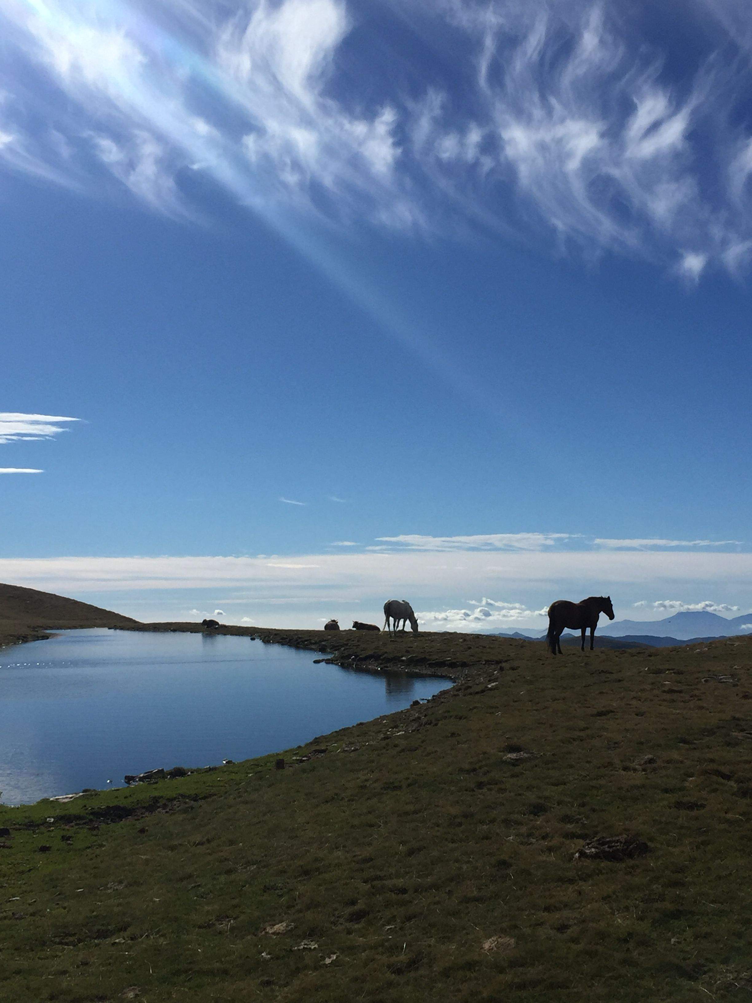 Camí de muntanya al Balandrau · Collada de Fontlletera FOTO:  Laura Jimenez Mayorga