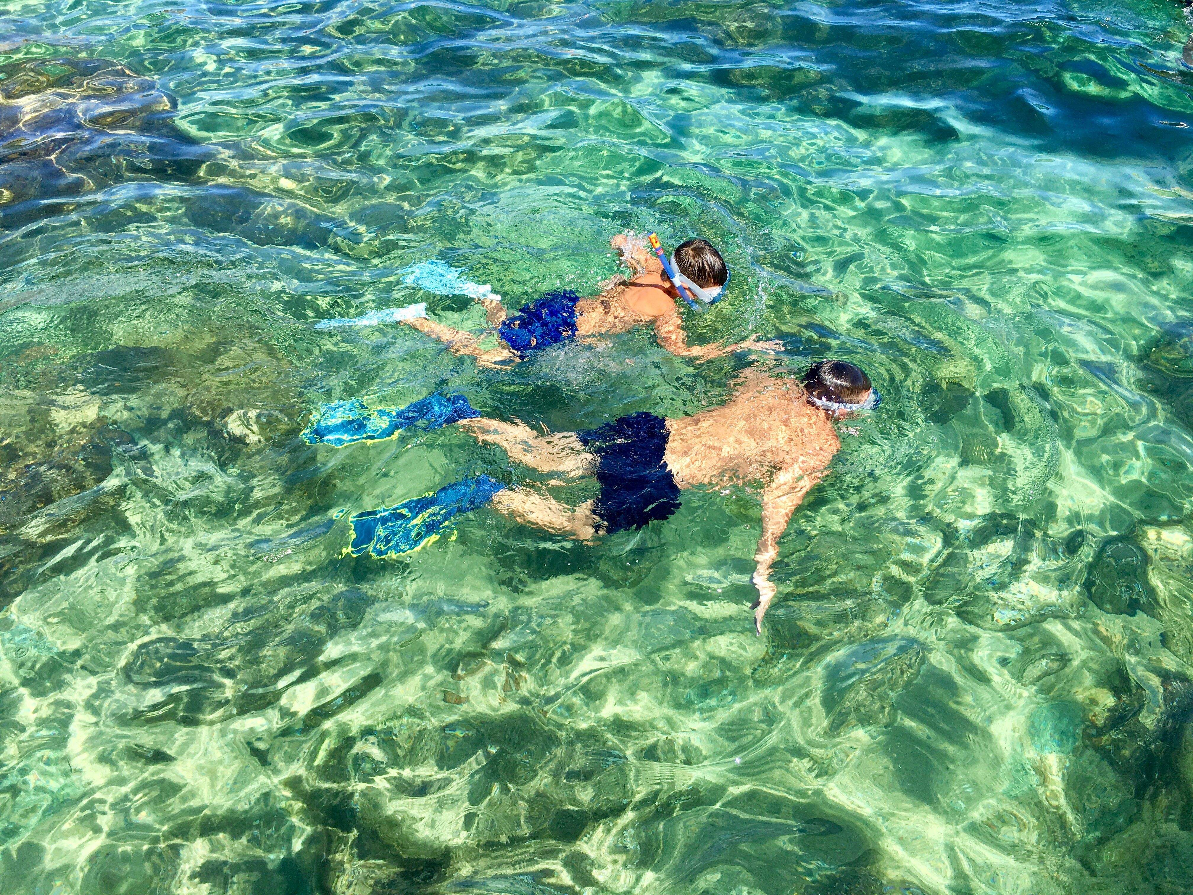 Buscant Nemo · Calella de Palafrugell  FOTO:  Ricard  Gonzalez