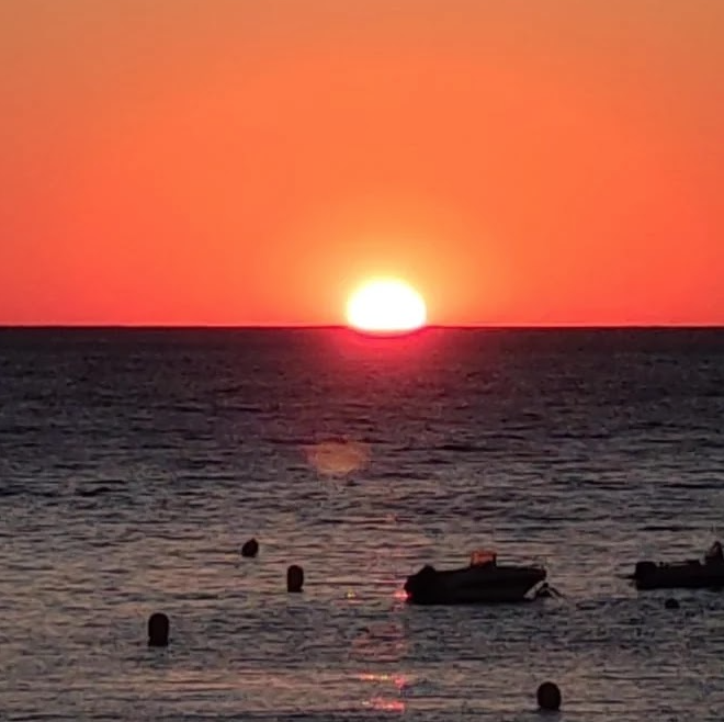 Bany de sol · Llançà  FOTO:  Pilar  Sanahuja