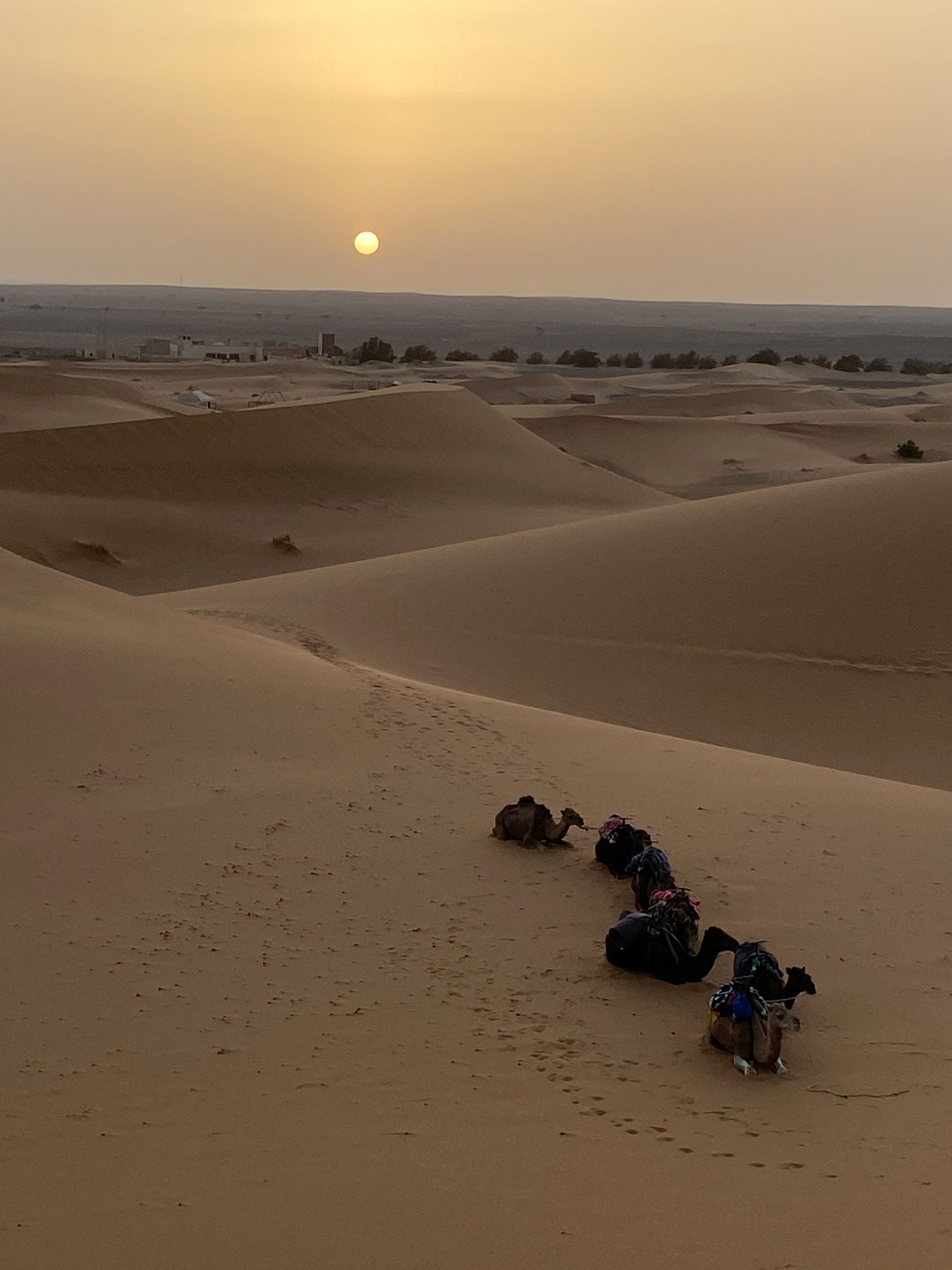 Atardecer · Desert Sahara FOTO:  Amanda Castellà Rodriguez
