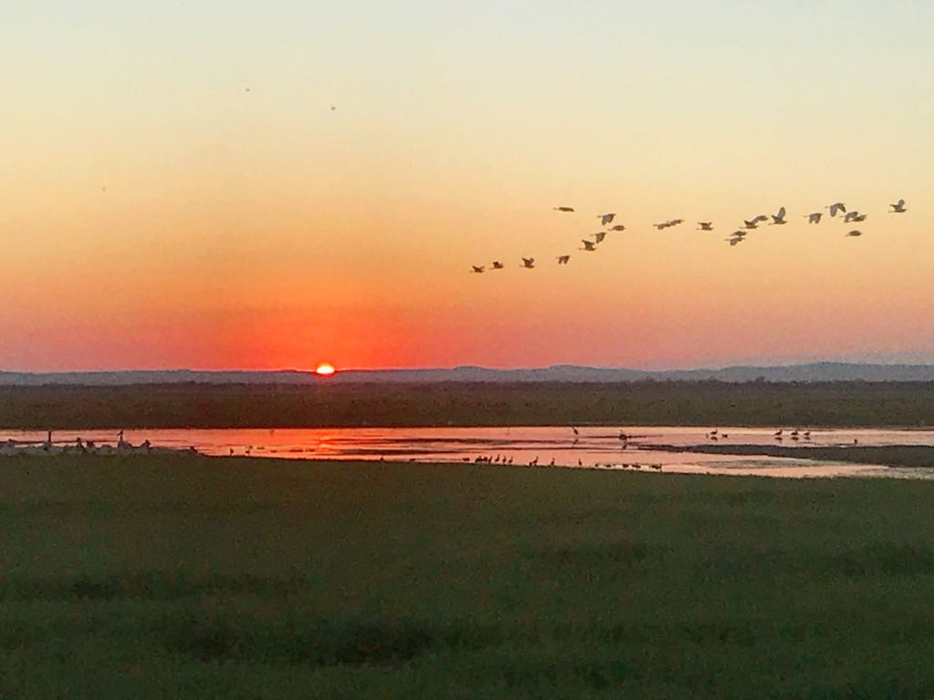 Africa · Regió de Harari, Etiòpia. Àfrica FOTO:  Natàlia  GIL BUSSALLEU