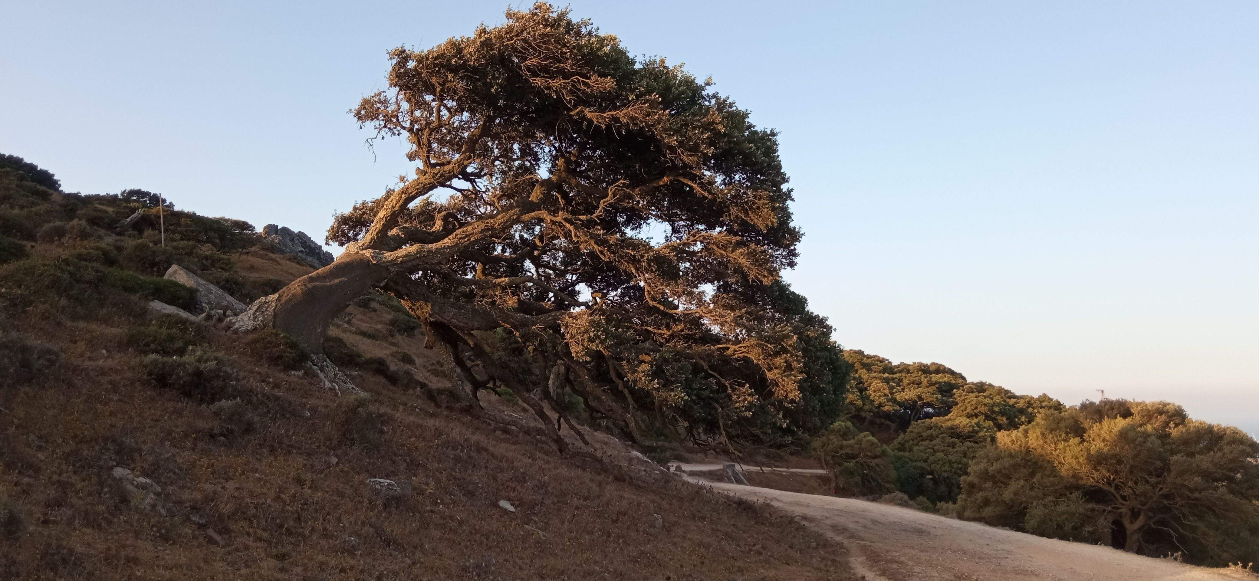 Adaptació · Tarifa FOTO:  Toni Guerrero Casals