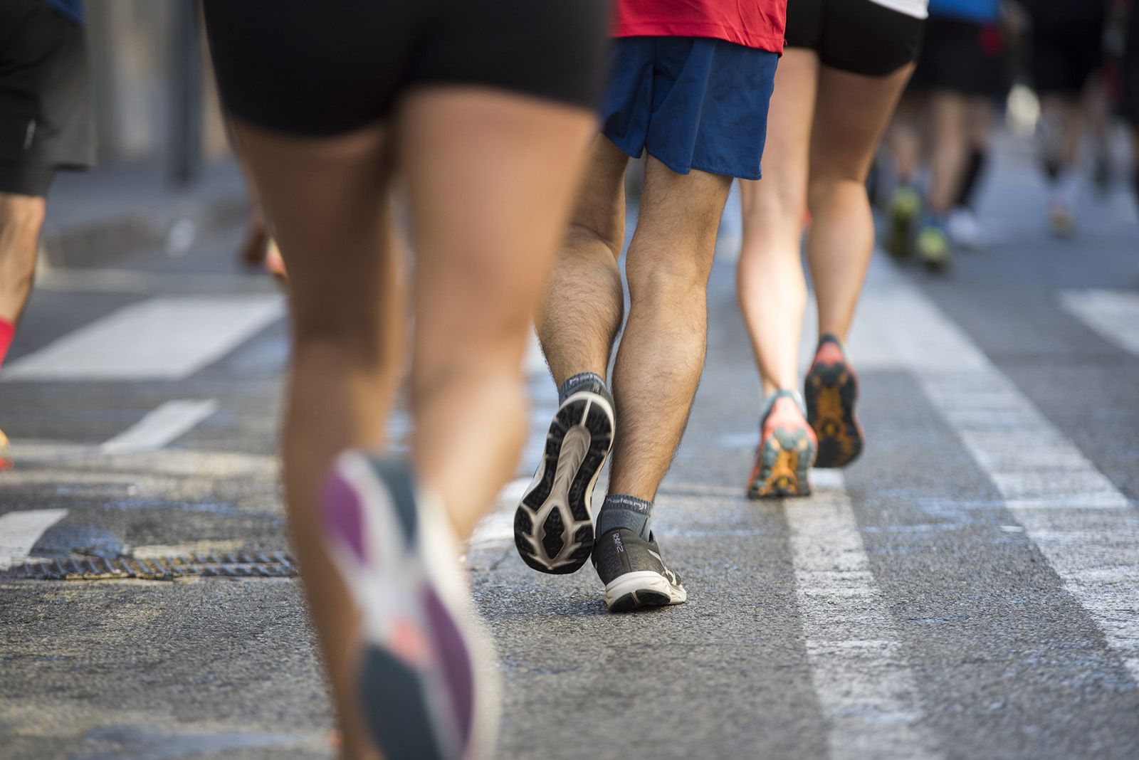 36a edició de la Mitja Marató. FOTO: Bernat Millet.