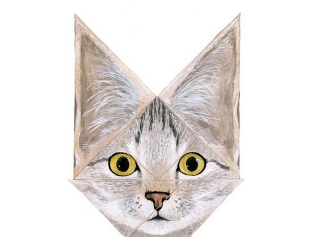 Imatge de l'activitat