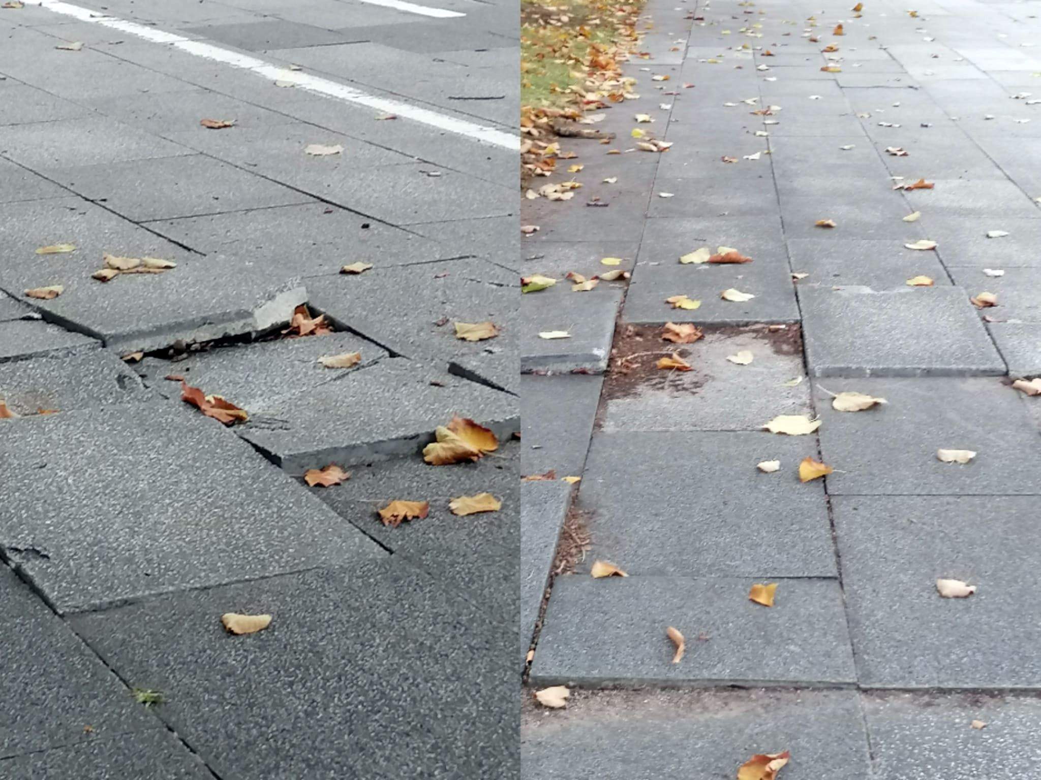 Passeig de Francesc Macià - novembre 2022