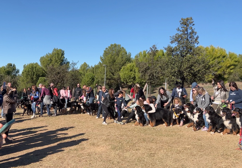 Captura de Pantalla 2022 11 24 a les 12.04.03 Captura de Pantalla 2022 11 24 a les 12.04.03