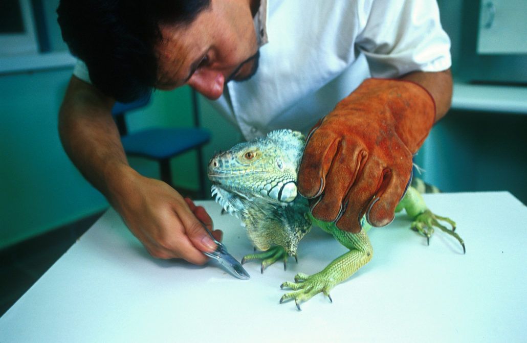 Jordi Camí i Jordi Carreras exposen dins la V Biennal de Qgat Foto a l’Ateneu